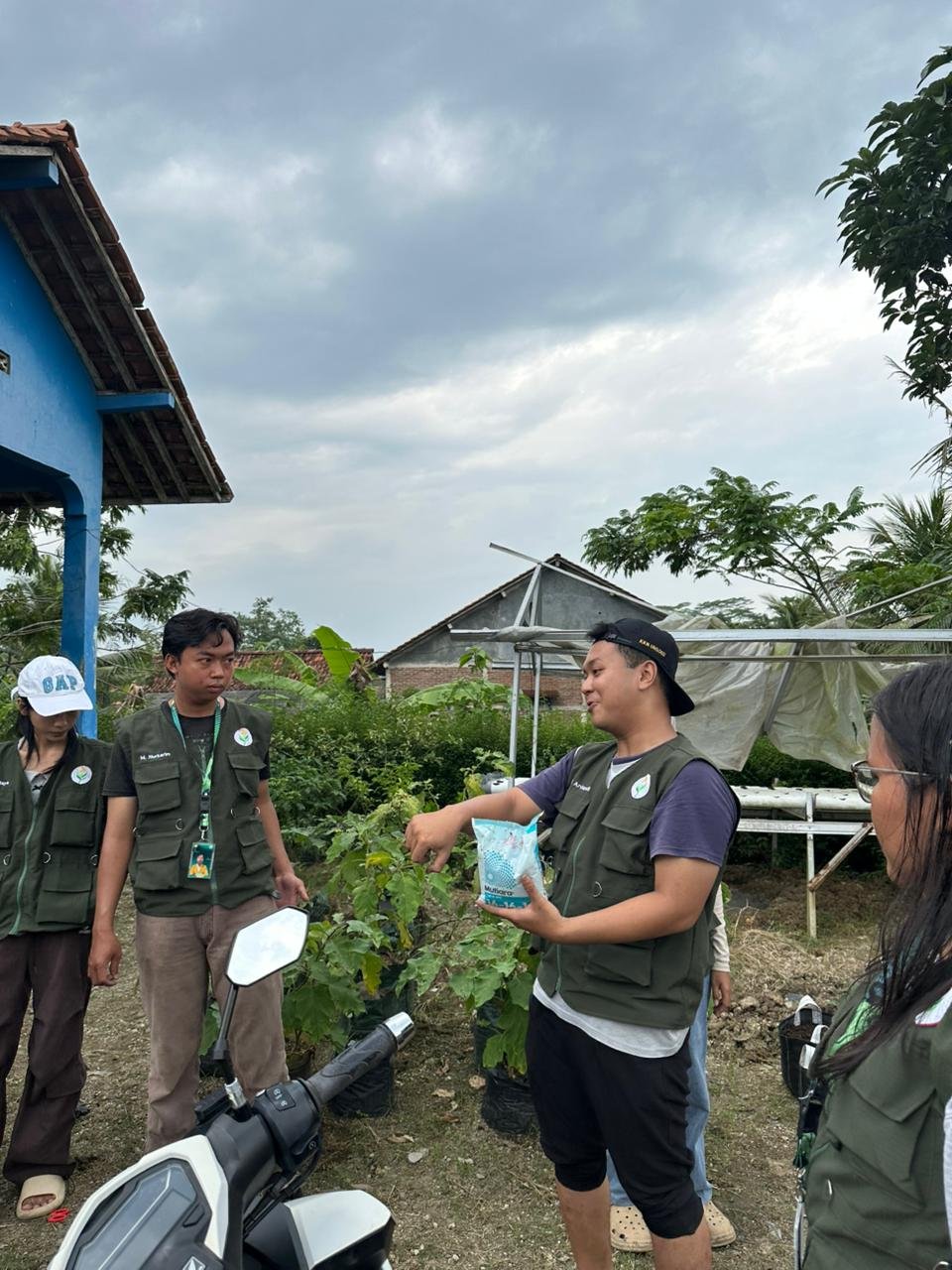 Sosialisasi Intensifikasi Pekarangan dan Penanaman Bibit Cabai Bersama Ibu-Ibu PKK