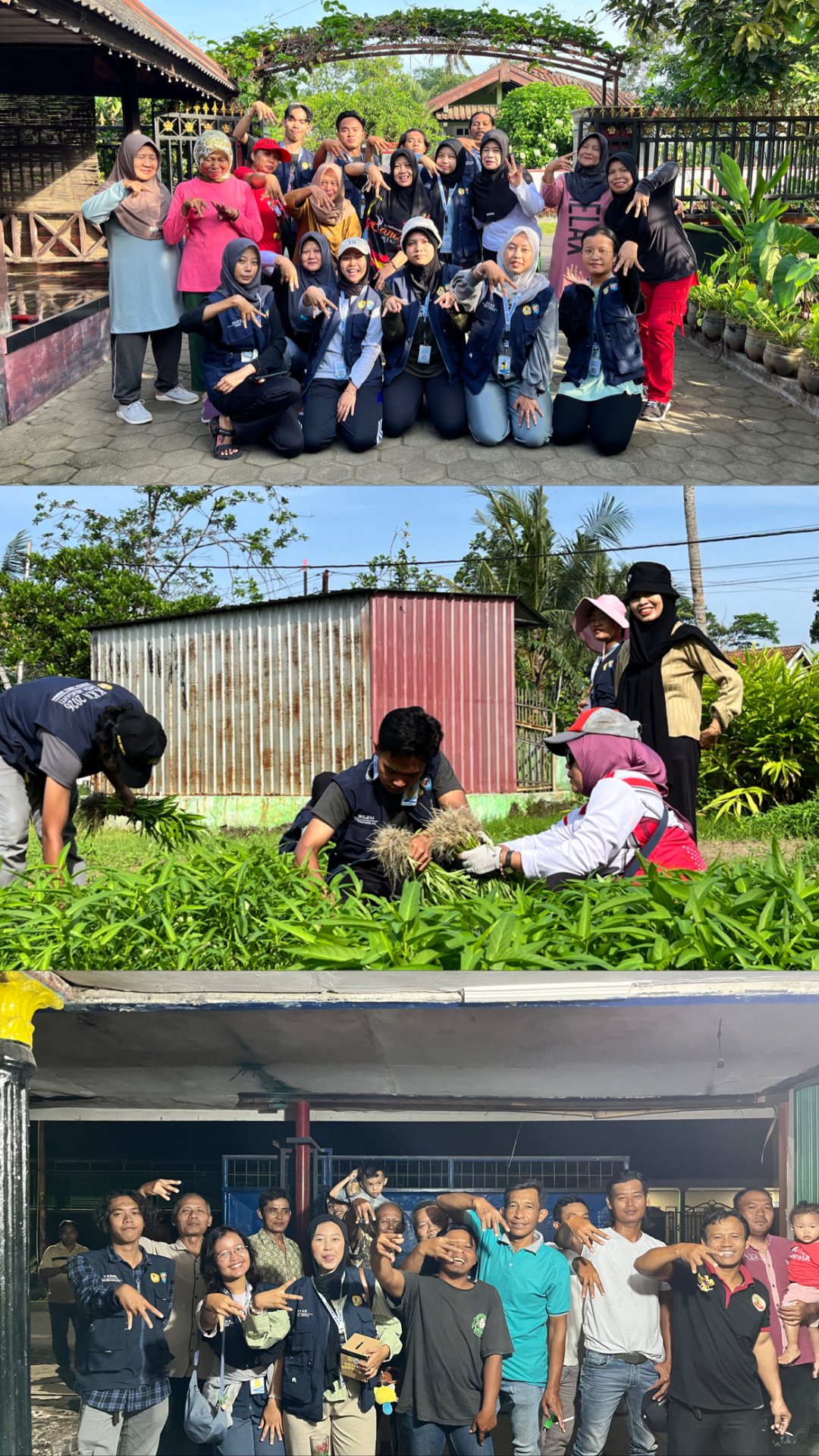 KKN DAY 19 - Senam sehat bersama ibu-ibu dusun kemambang, Panen kangkung bersama ibu-ibu dusun kemambang, dan penjaringan aspirasi di dusun Rawabayem