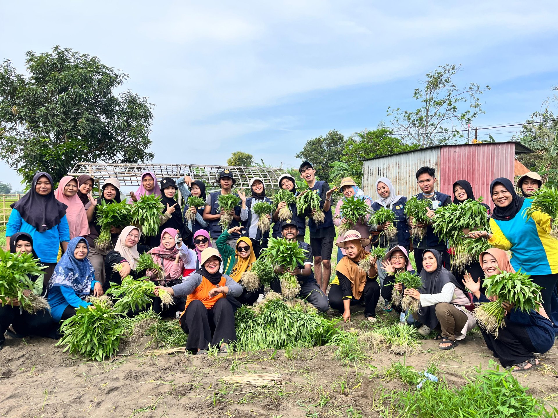 KKN Hari 19, Senam, Panen Kangkung, Kotak Aspirasi