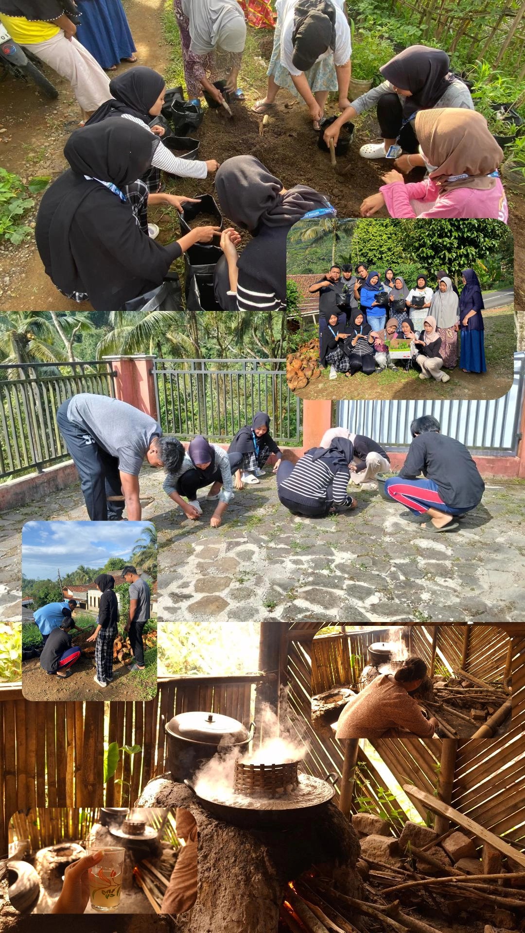 Bibit Cabai dan Terong yang Menumbuhkan Relasi