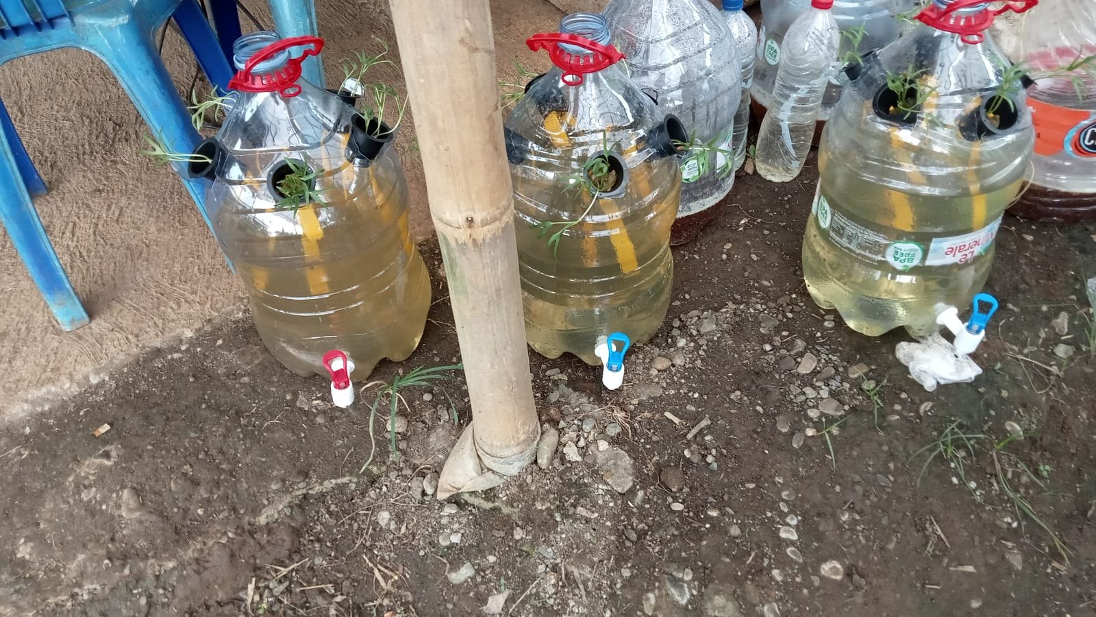 Monitoring Aquaponik