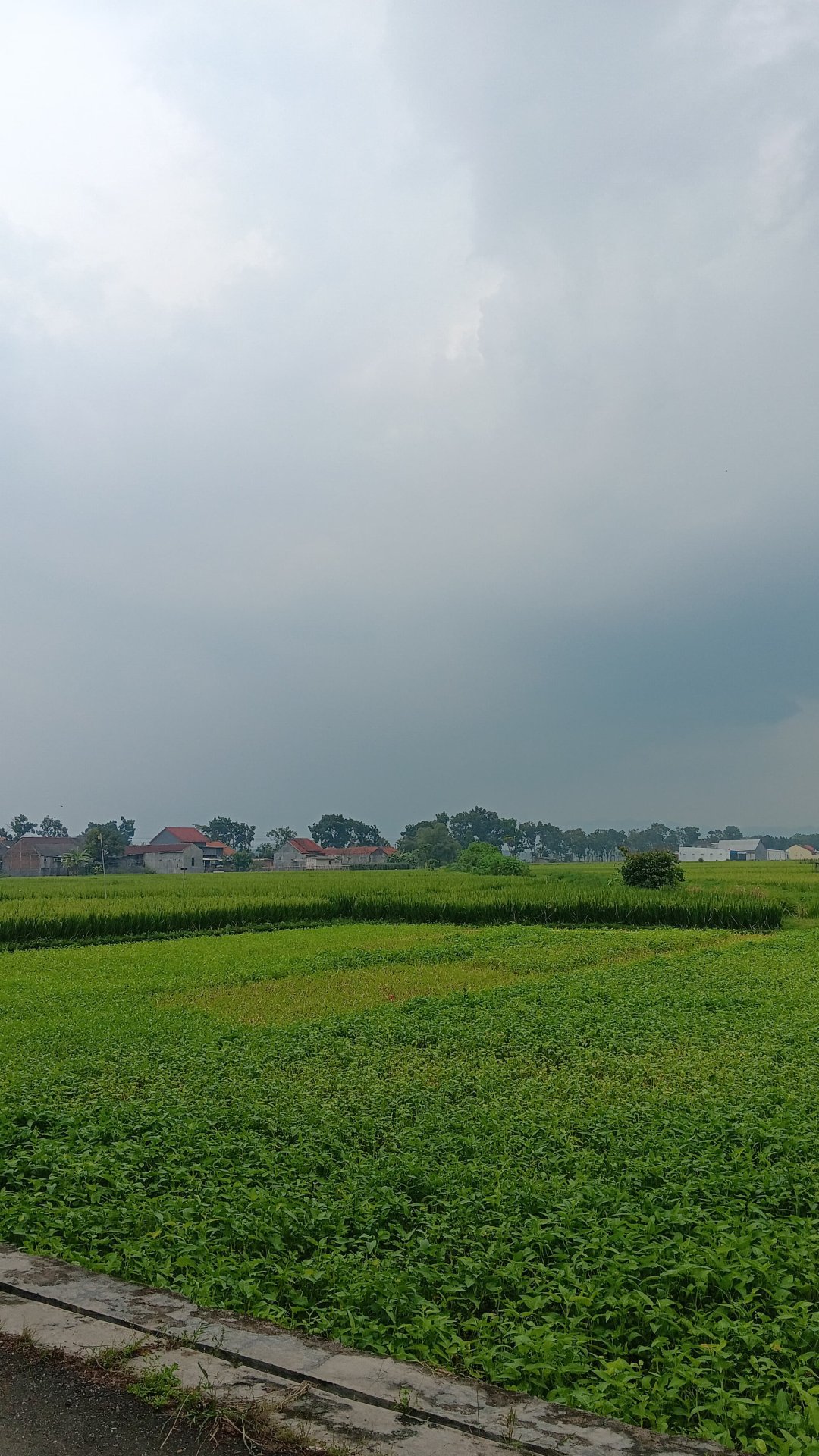 Hari ke-19: Berkeliling Desa Mangli