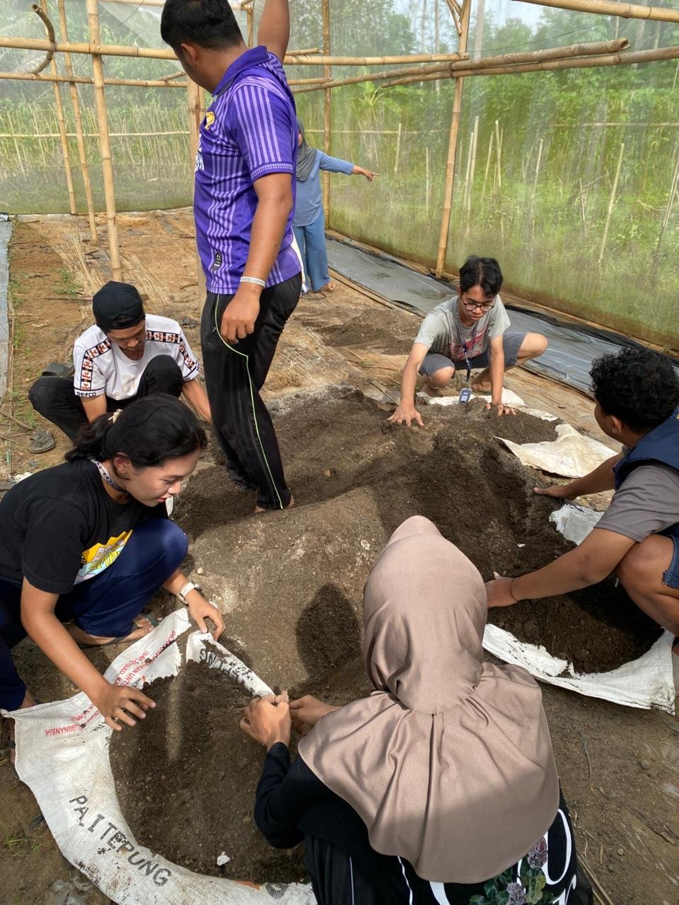 KKN DAY 12 Desa Plana