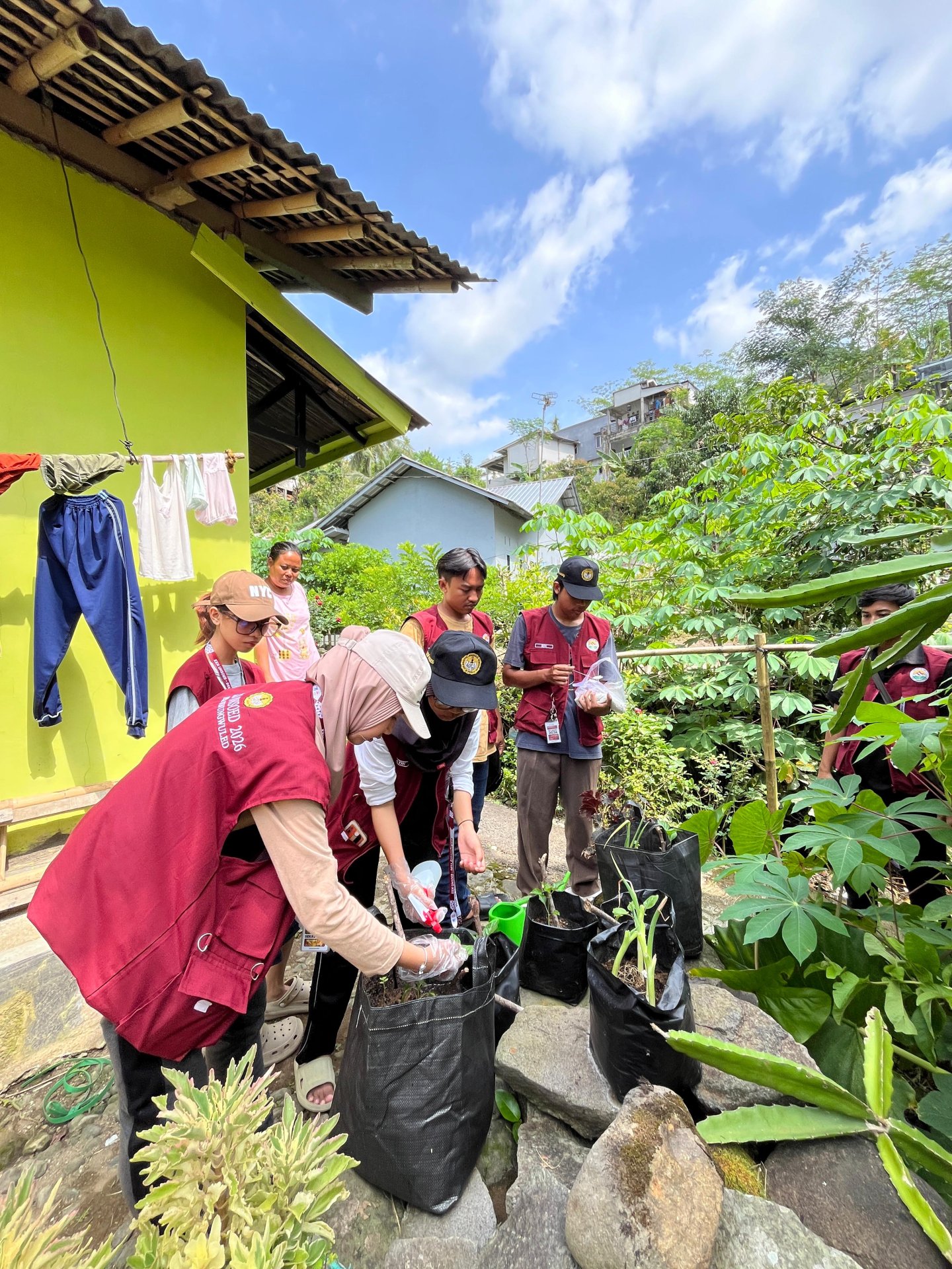 Monitoring Tanaman Pekarangan (Pemupukan)