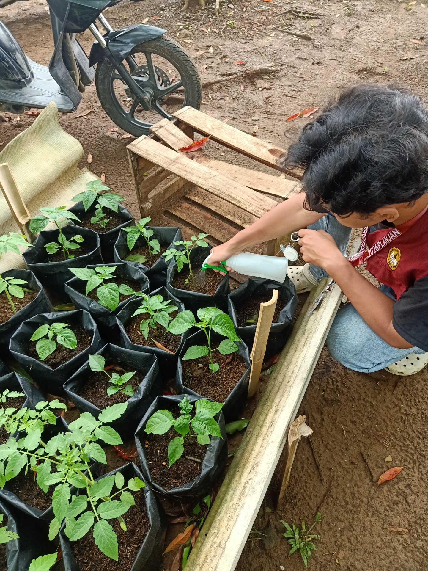CONTROLLING INTENSIFIKASI PEKARANGAN