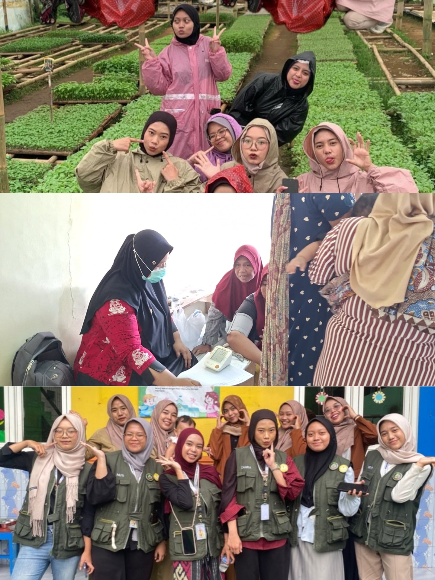 Pendampingan paud, posyandu dan posbindu, pembelian bibit