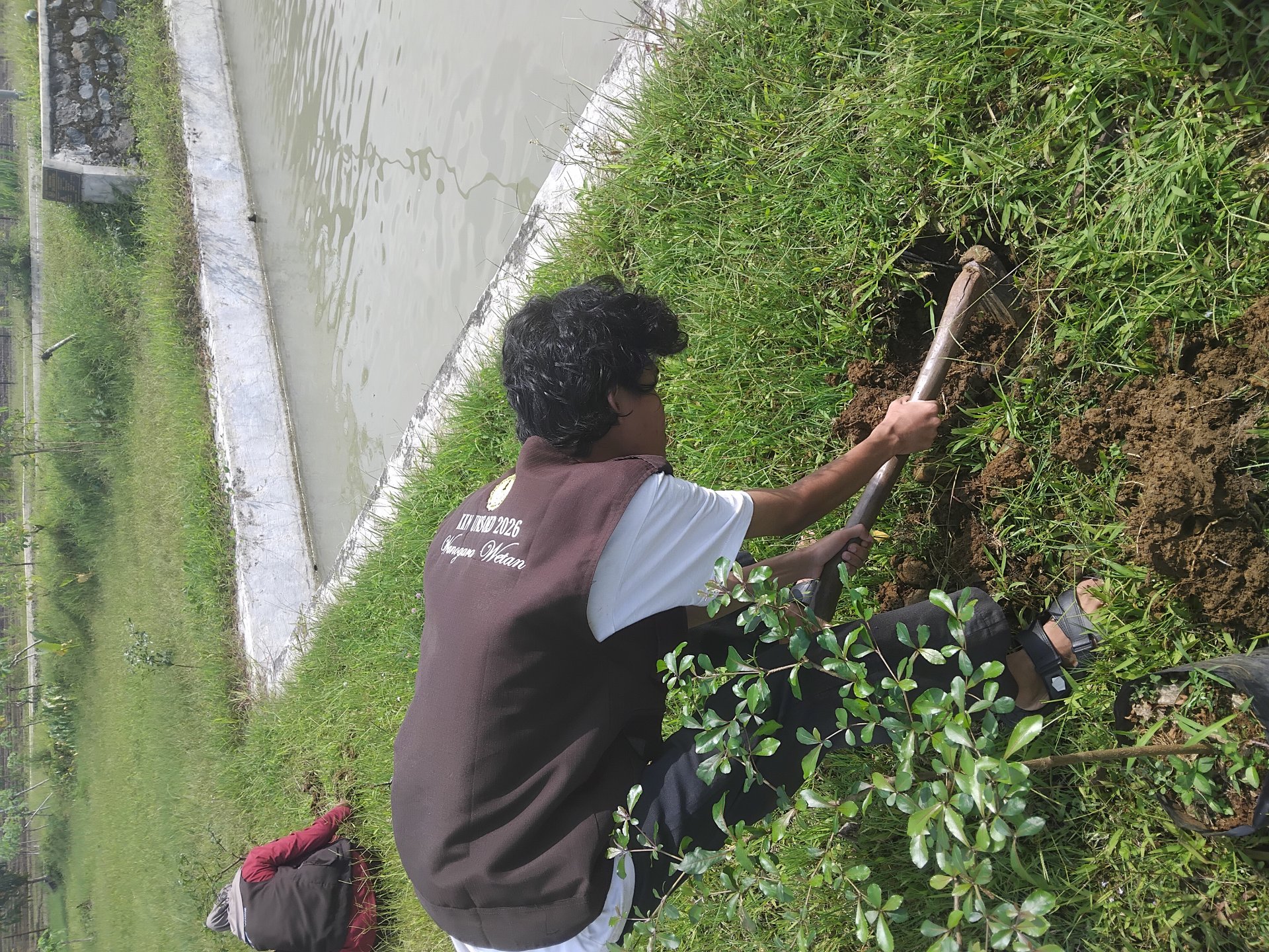 Penanaman Pohon Ketapang dan Pucuk Merah