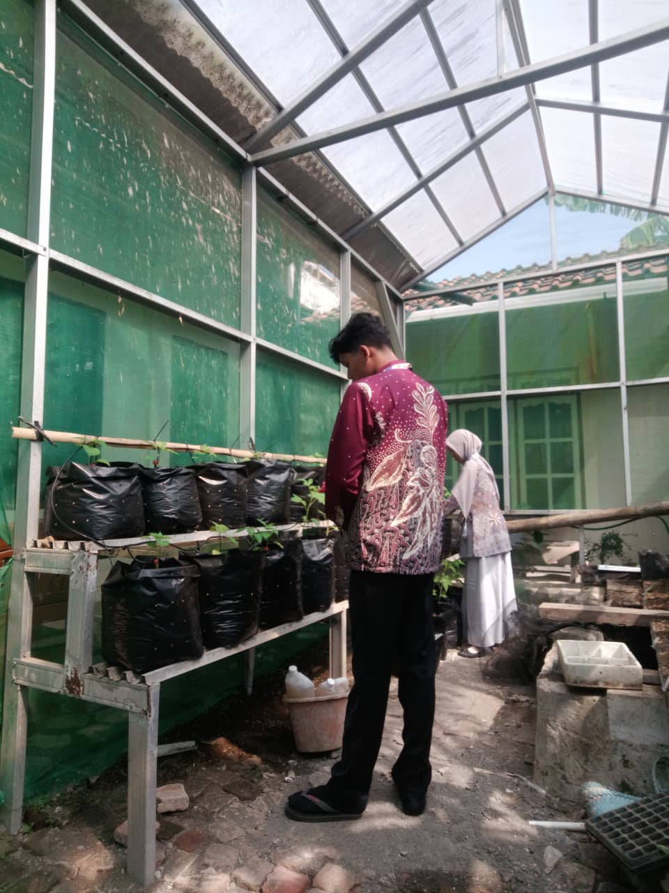 Kegiatan Hari Ke-20 | Monitoring Demplot Pertanian