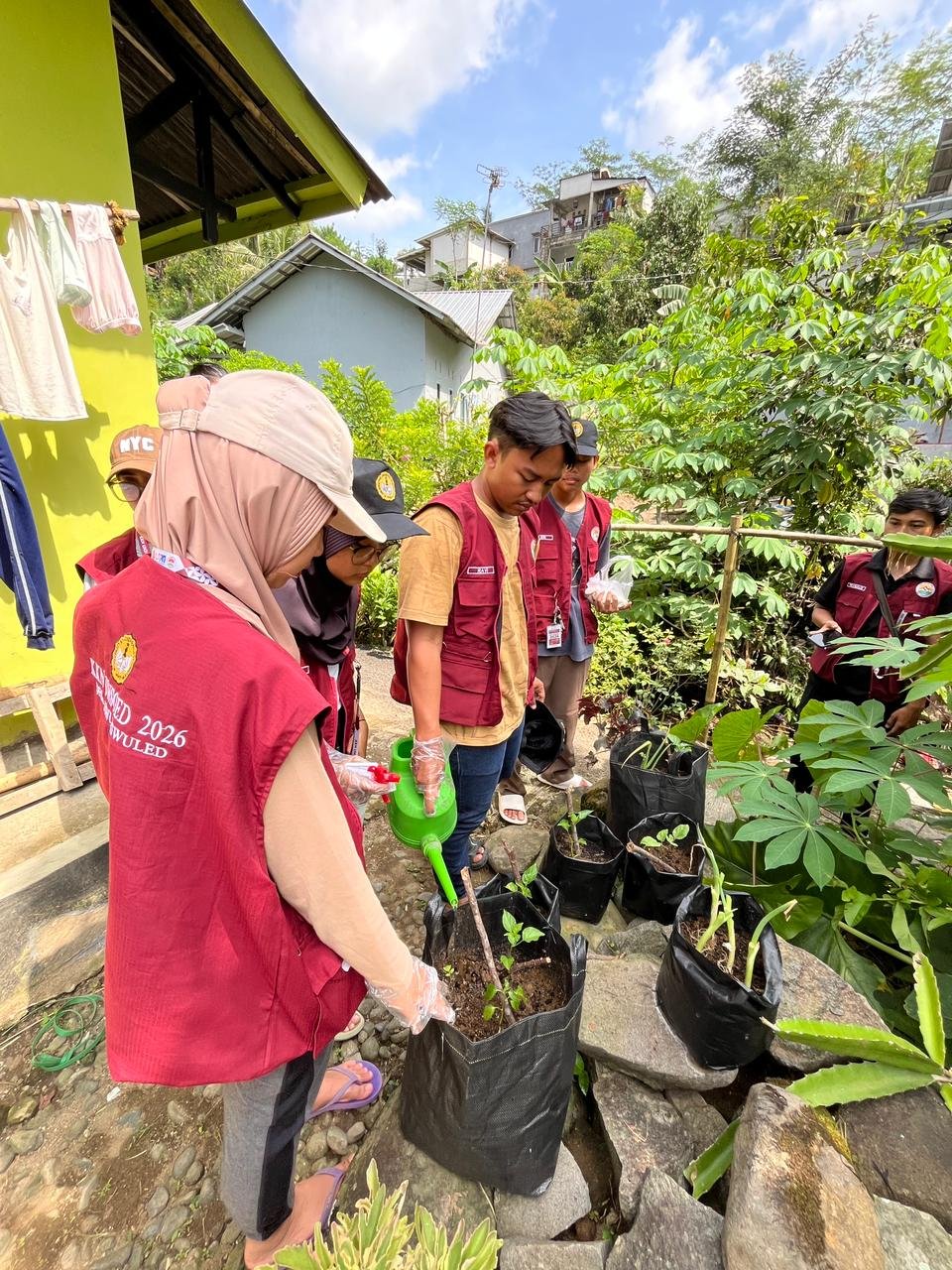 Pemupukan Lanjutan dan Pemberian Hormon Tumbuh Intensifikasi Pekarangan