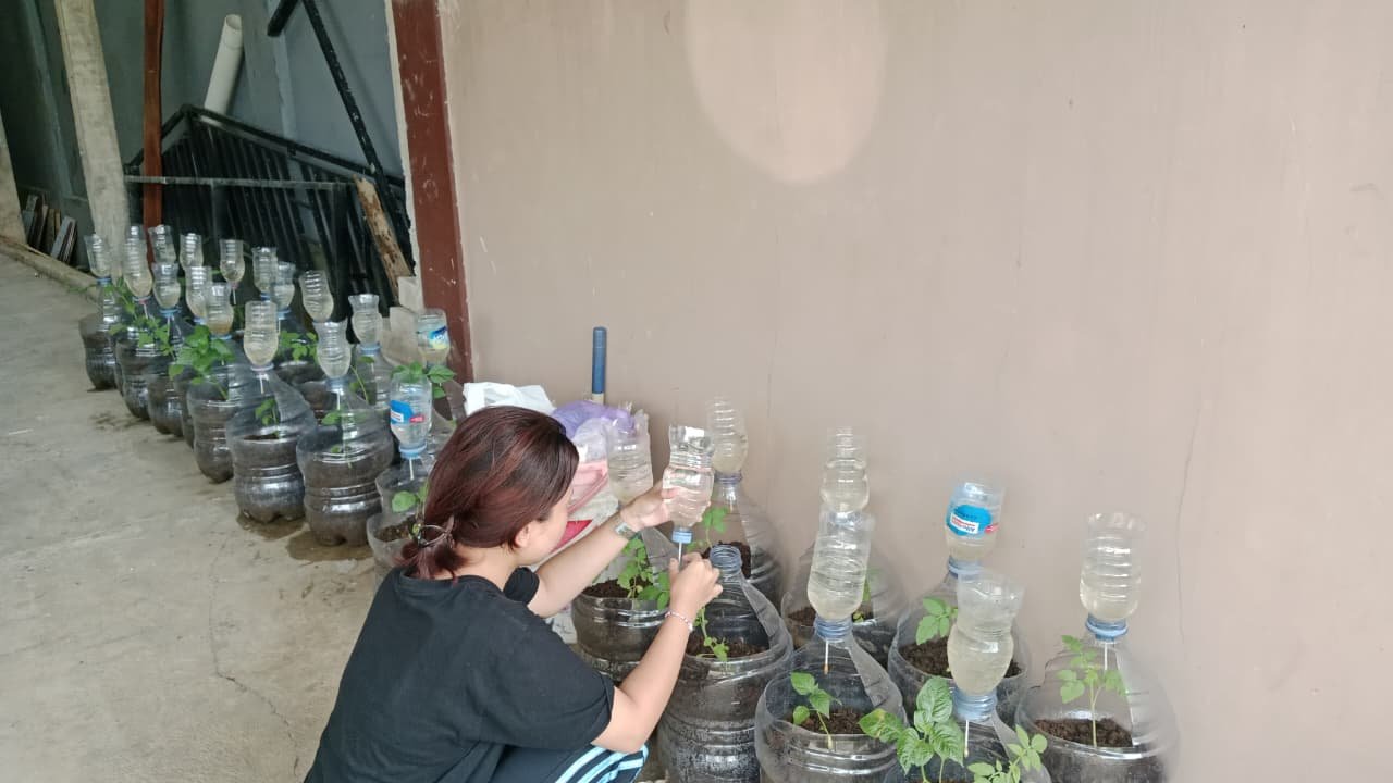 Piket Monitoring Tanaman Irigasi Tetes