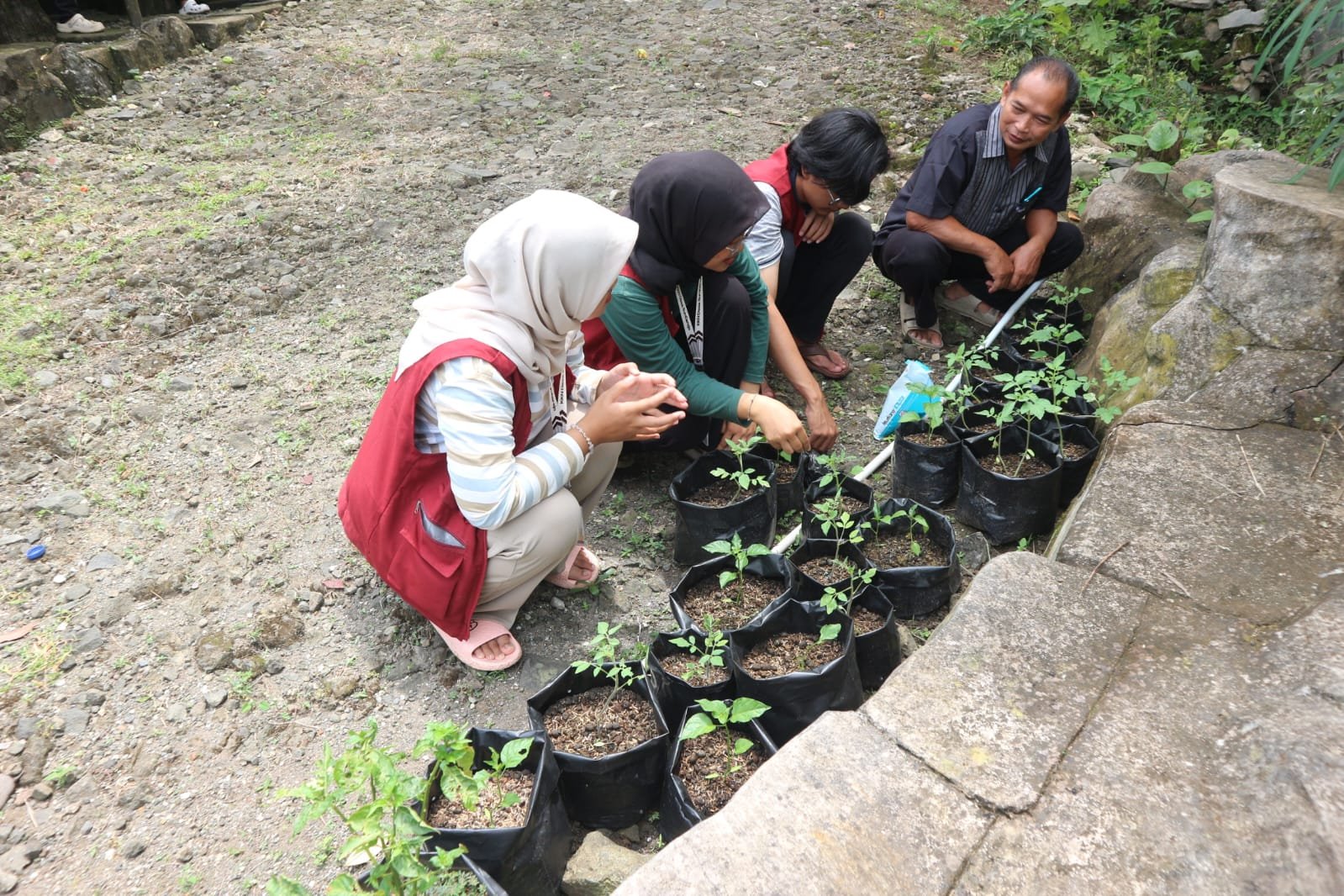 Pelaksanaan KKN Hari ke-20