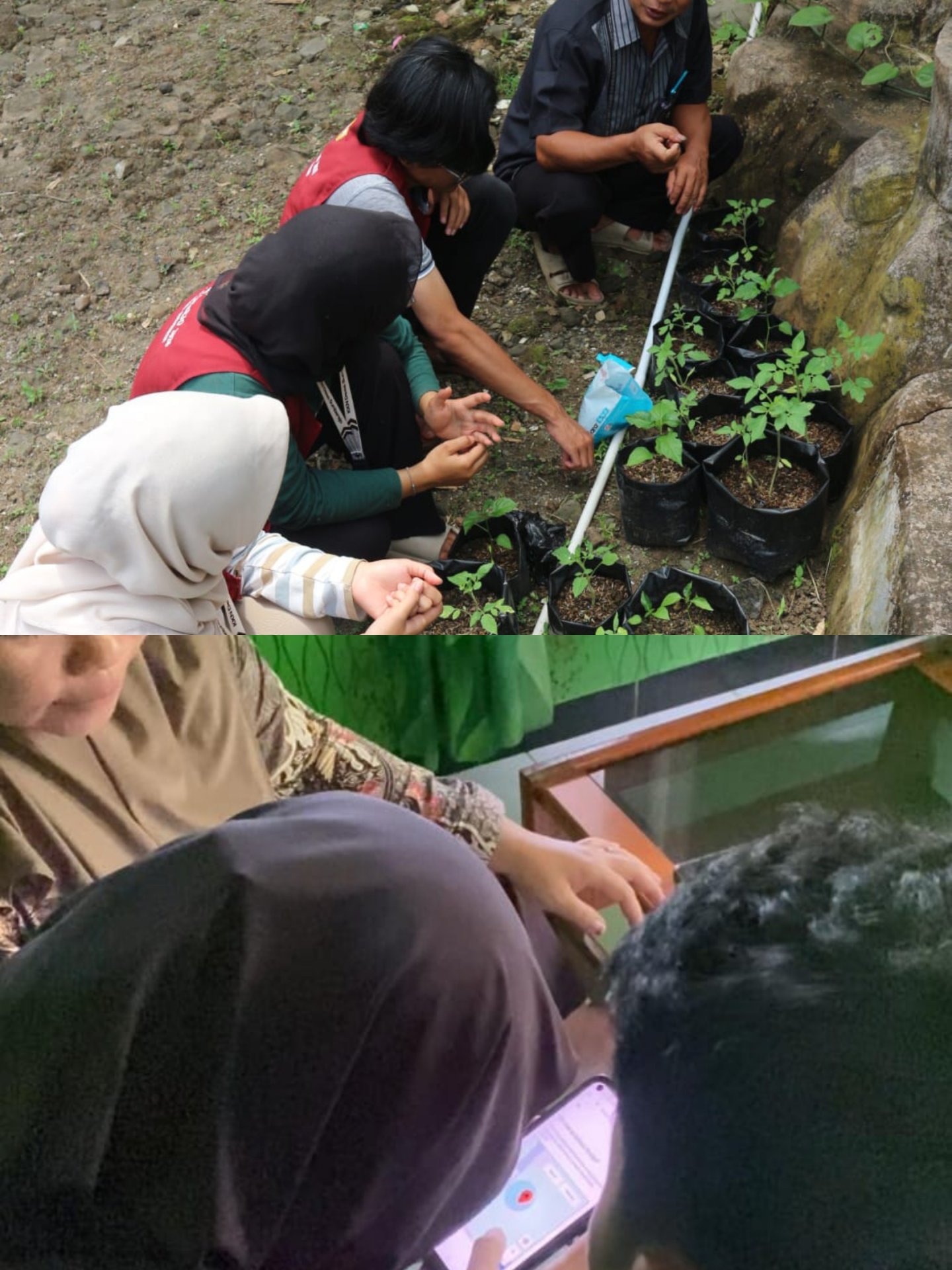 DAY-20 KKN SUMBEREJO 2026