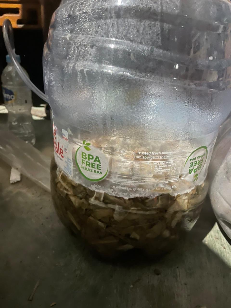 Hasil pembuatan pupuk organik cair dari limbah sayur