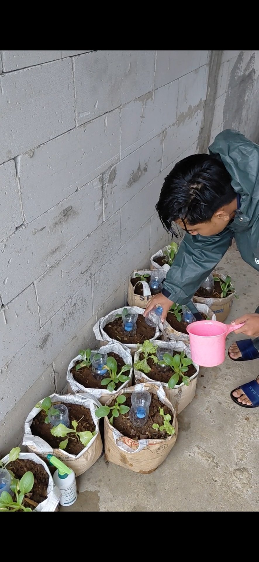 Hari ke-20 KKN (Sosialisasi keamanan data, monitoring tanaman, dan kunjungan UMKM)