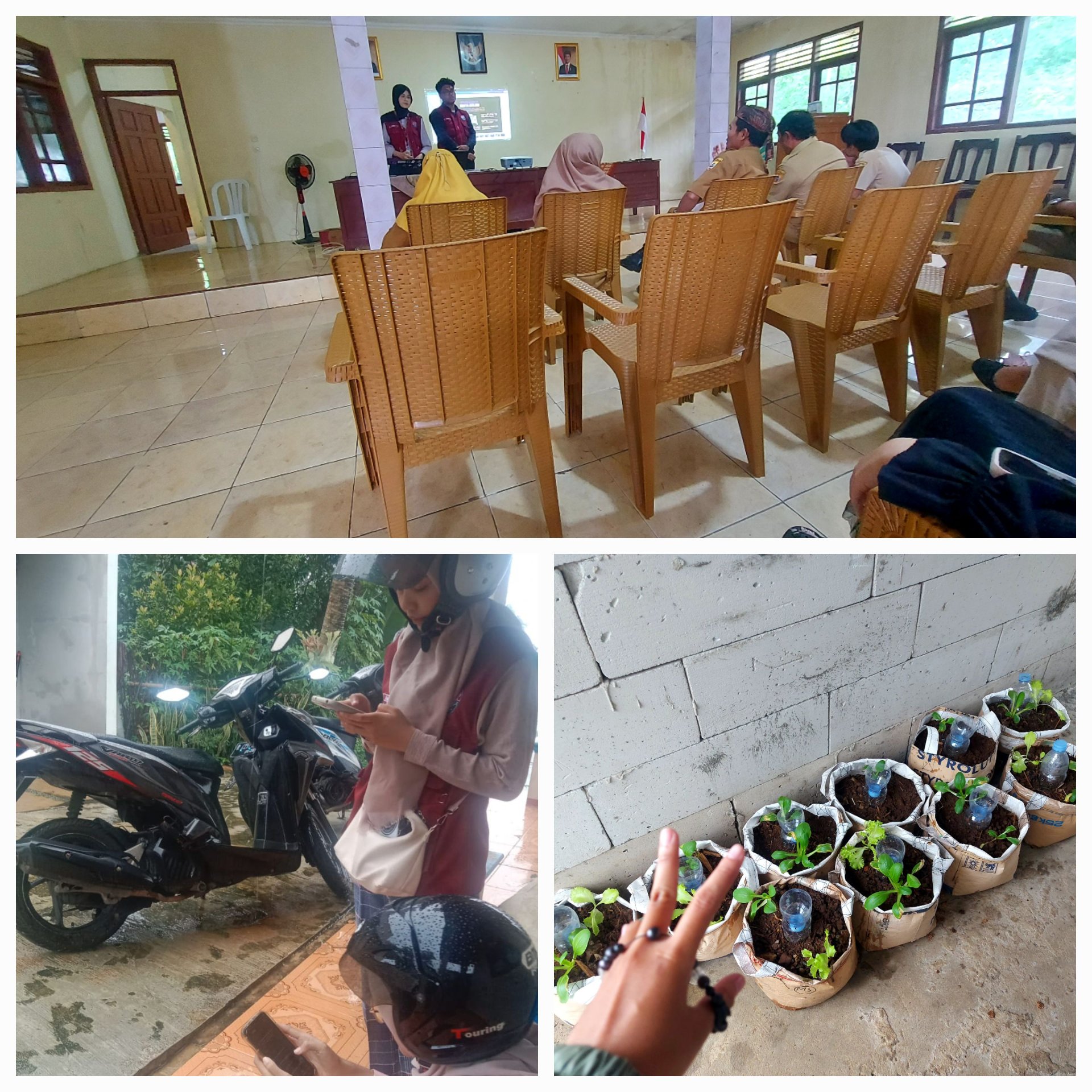 Sosialisasi Keamanan Data, Monitoring Tanaman Sayuran, dan Sosialisasi Digital Marketing