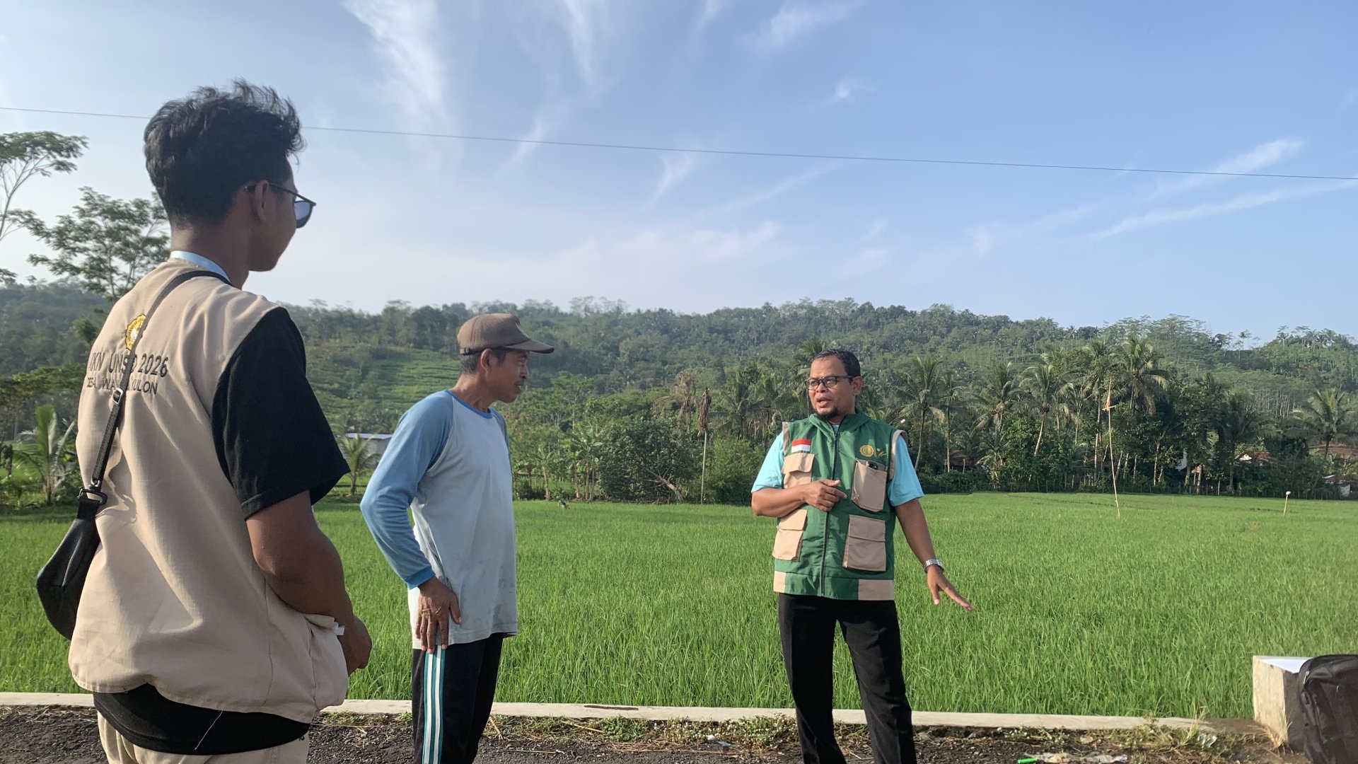 Pengamatan Hama Wereng