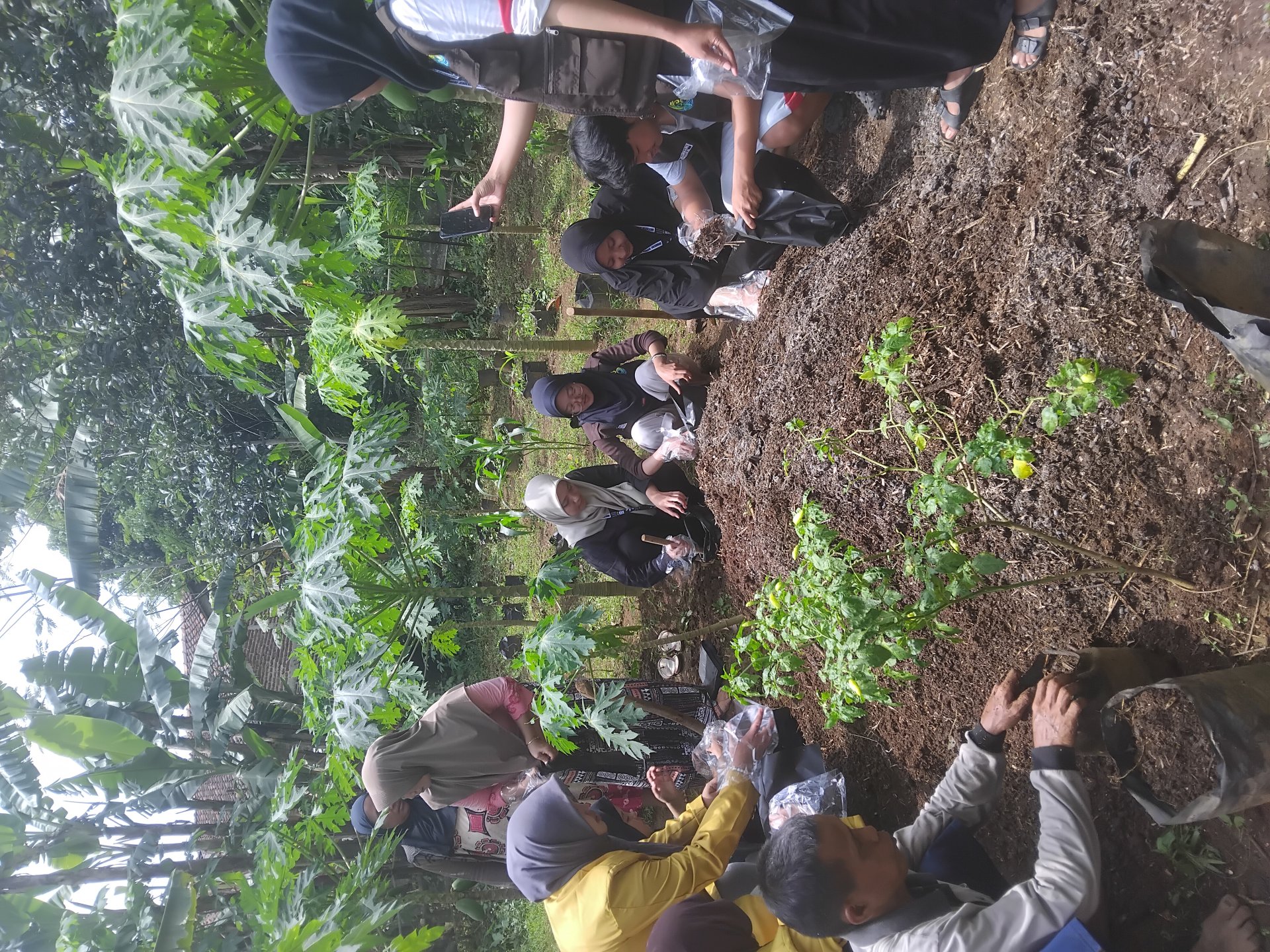 Pembuatan Pupuk Organik dan Media Tanam