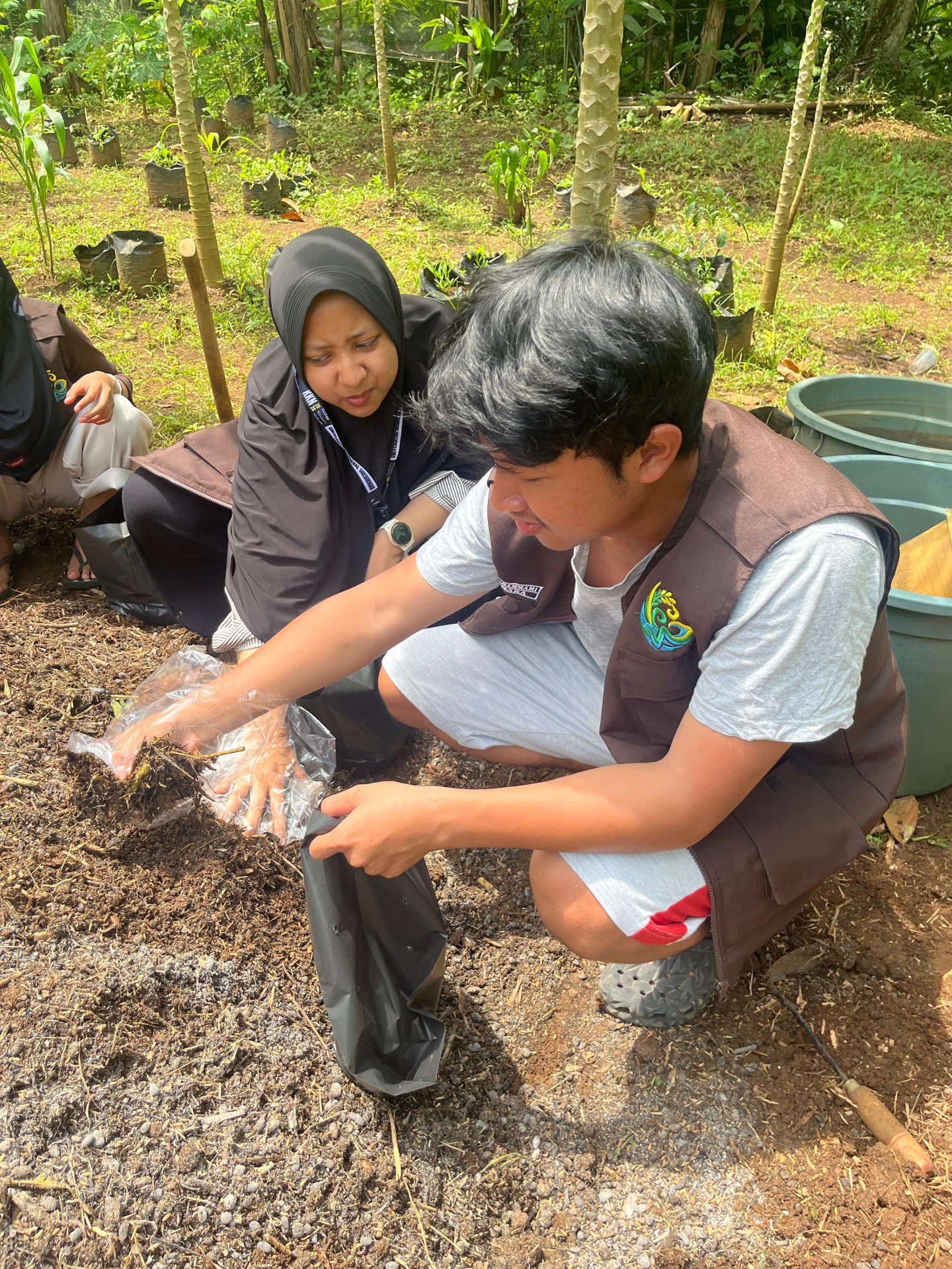 Pembuatan Pupuk Organik Padat dan Media Tanam