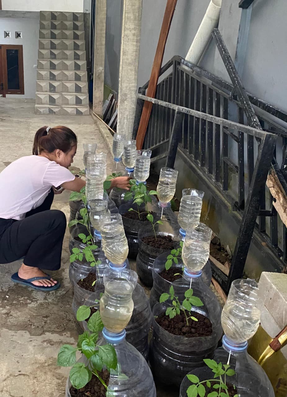 Piket Monitoring Tanaman