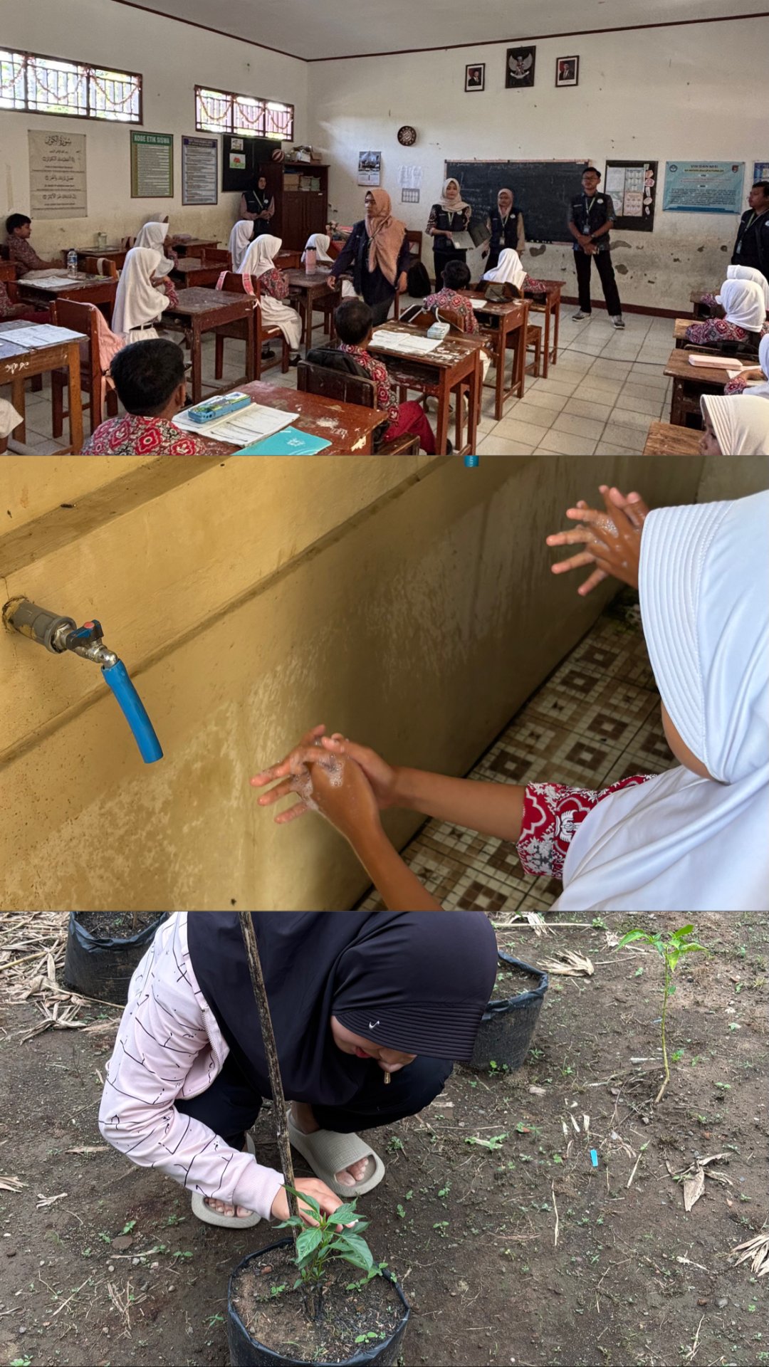 Sosialisasi PHBS dan monitoring tanaman