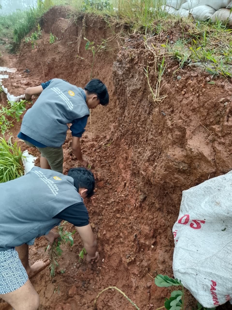 Penanaman 1000 Pohon Desa Danasari