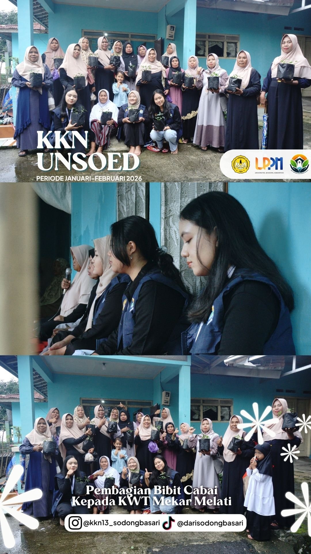 Pembagian Bibit Cabai kepada Kelompok Wanita Tani (KWT)