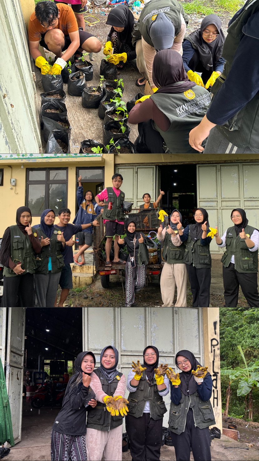 Budidaya Tanaman Sayuran