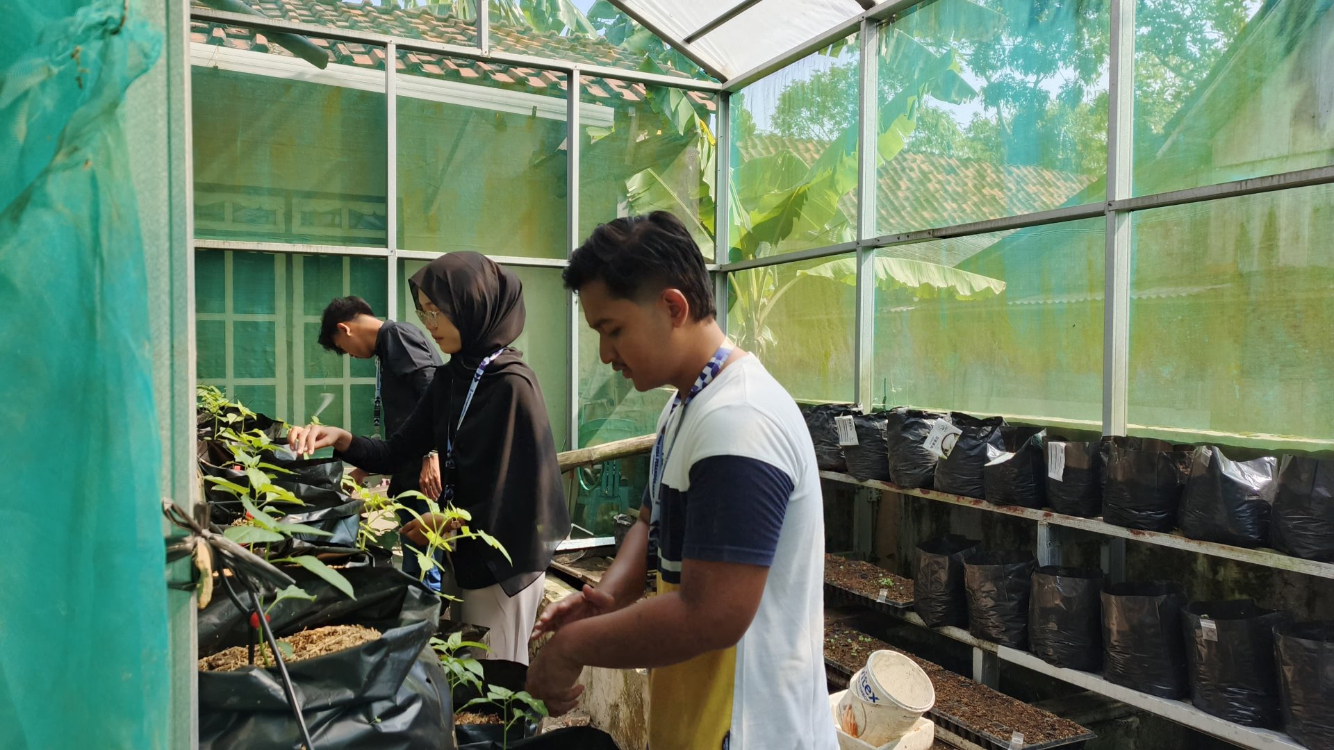 Kegiatan Hari Keduapuluh satu | Bagian 2 monitoring demplot