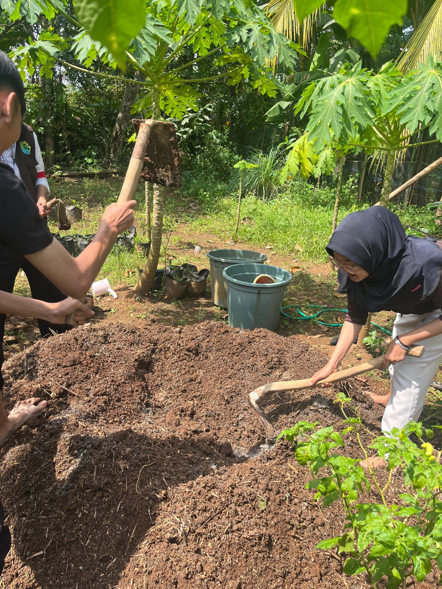 Pembuatan Media Tanam dengan Penambahan Pupuk Organik Cair