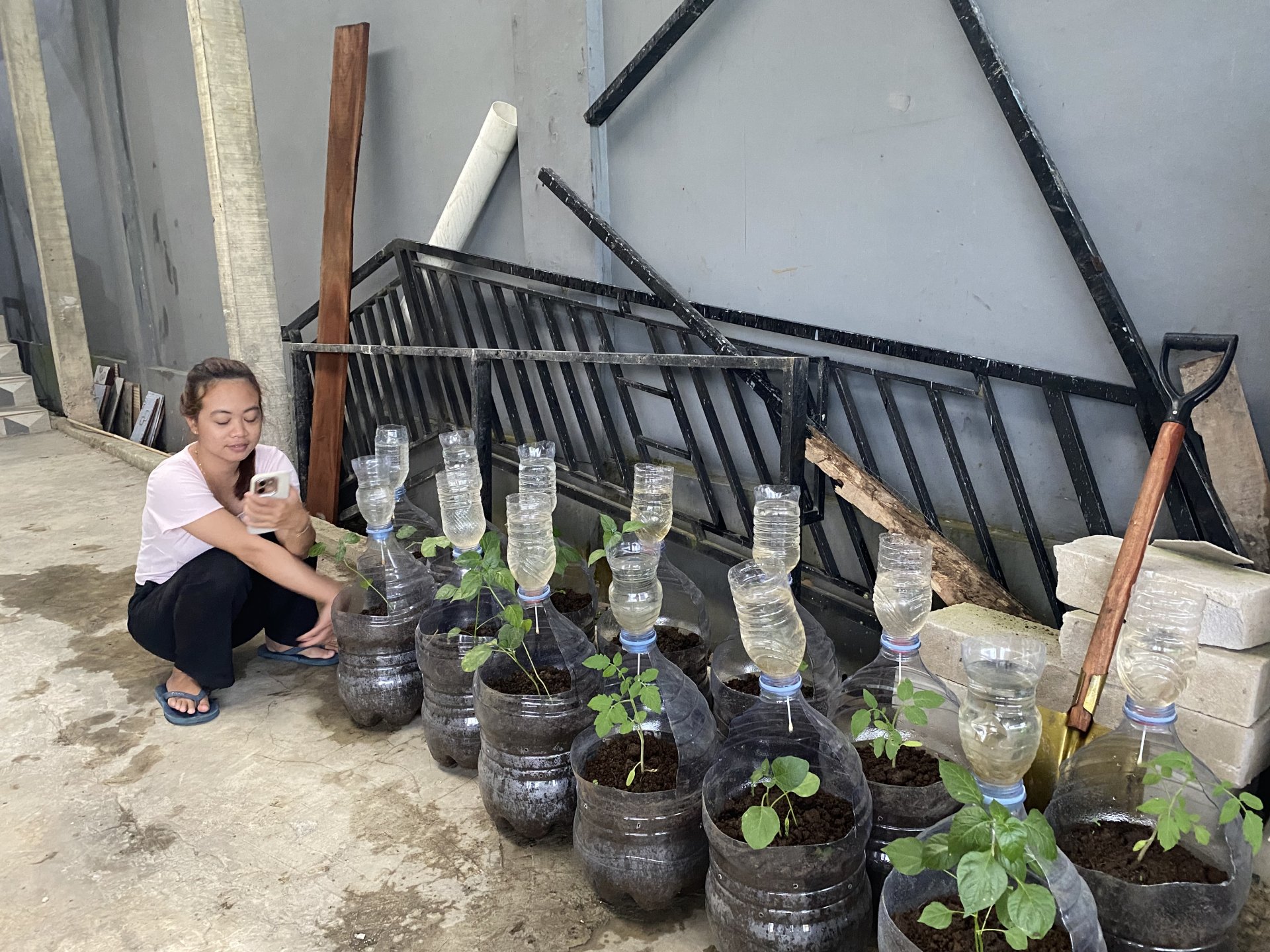 monitoring pekarangan