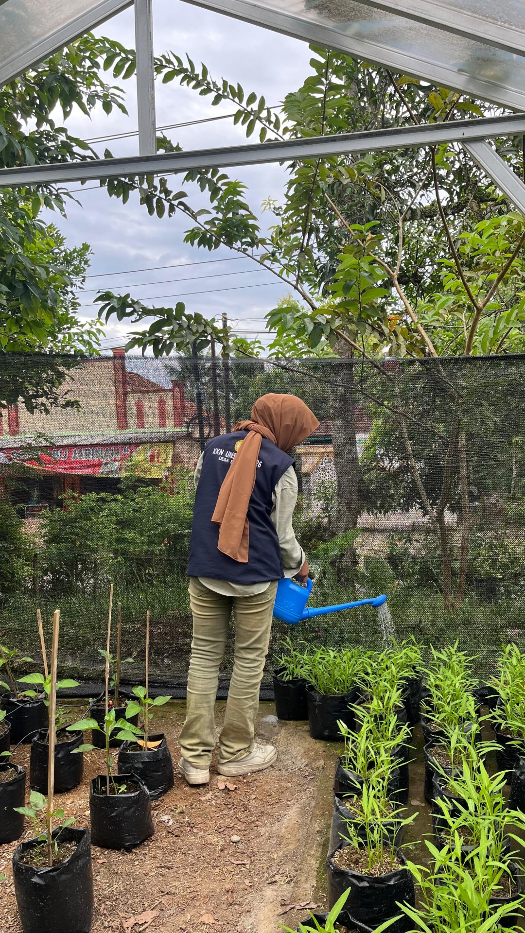 Bid. Lingkungan - Piket siram tanaman (Insentifikasi Pekarangan KWT Dusun 3)