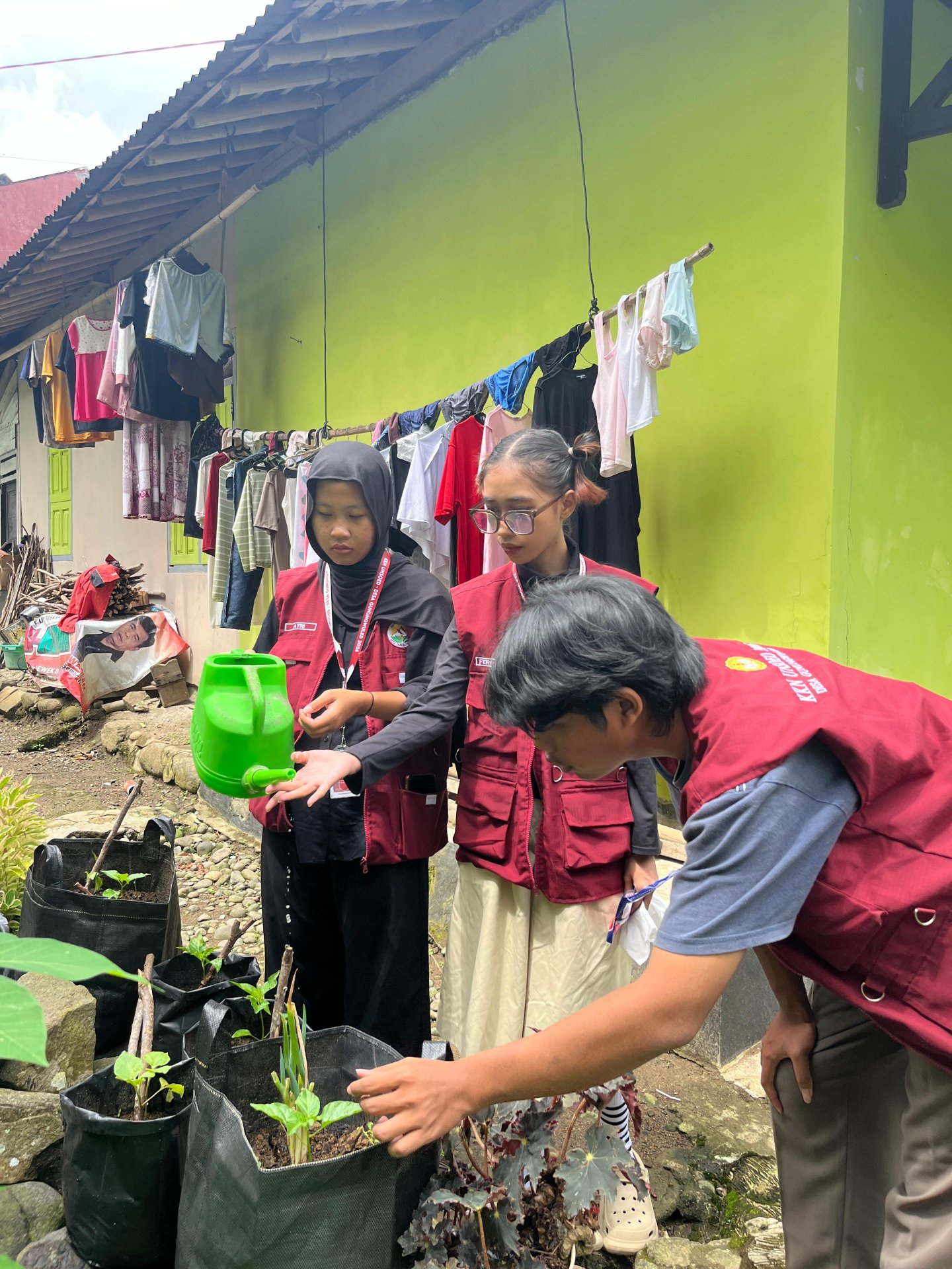 Monitoring Tanaman Pekarangan