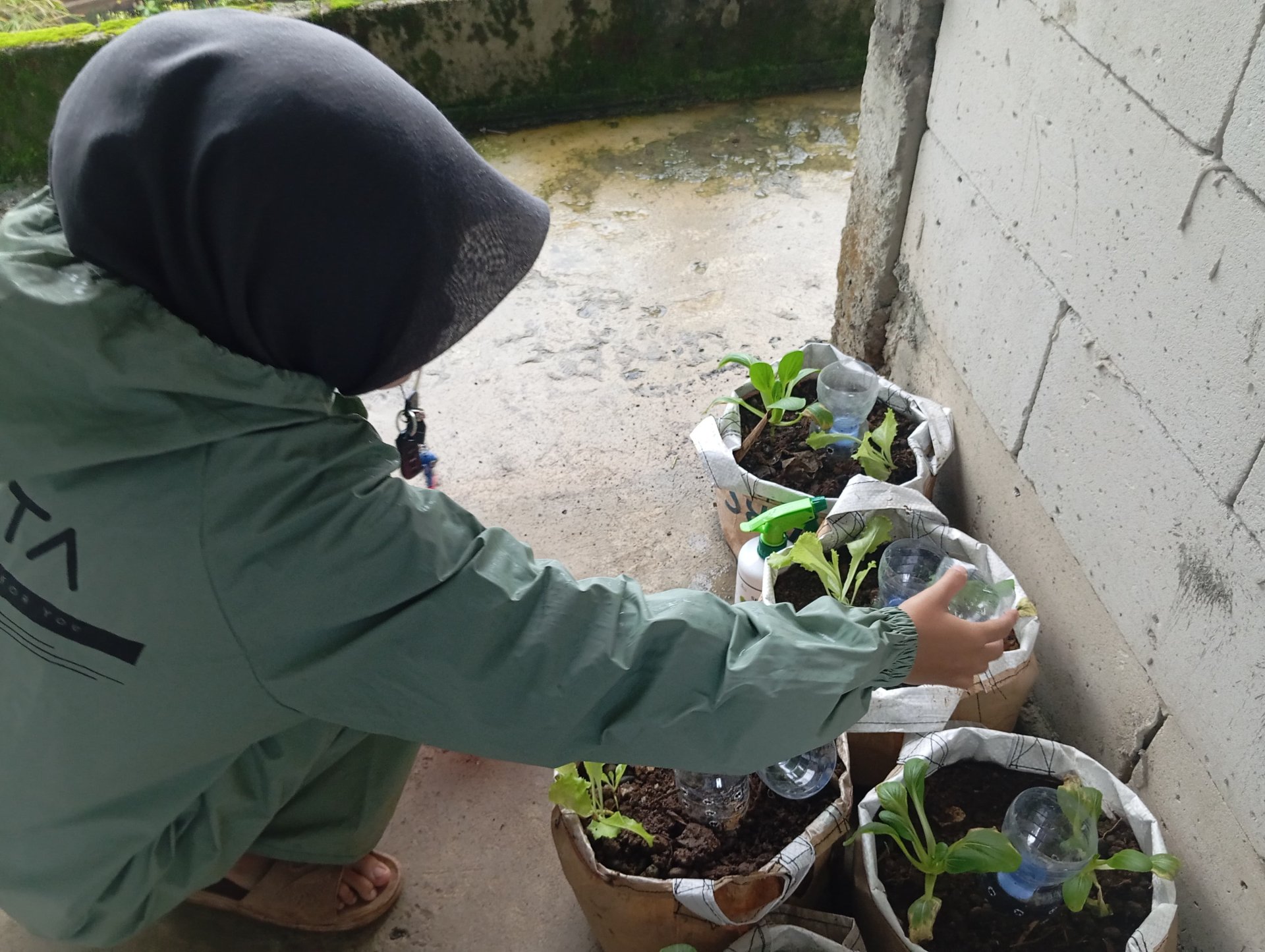 Hari ke-22 KKN (Monitoring tanaman serta kumpul diskusi dengan pak kadus 5)