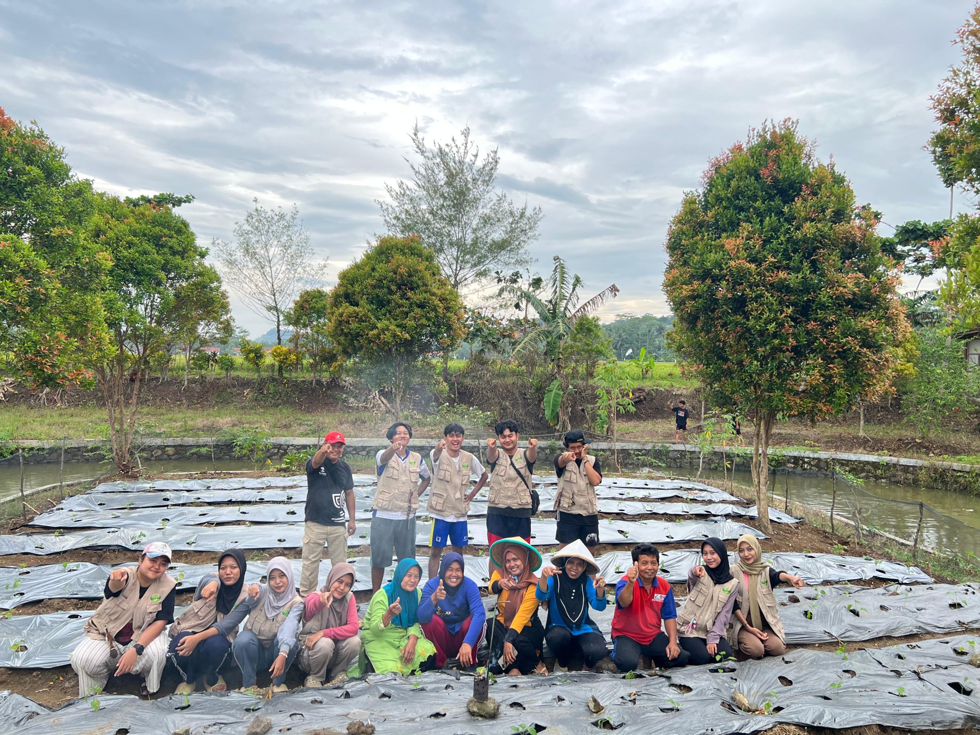 Day 22 pemasangan plastik mulsa di lahan KWT