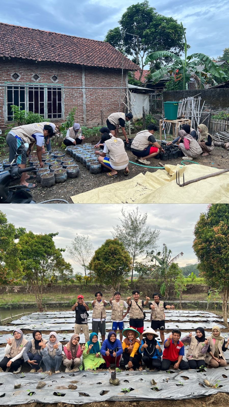 Day 22 Pemasangan Plastik Mulsa di Lahan KWT dan Monitoring Irigasi Tetes