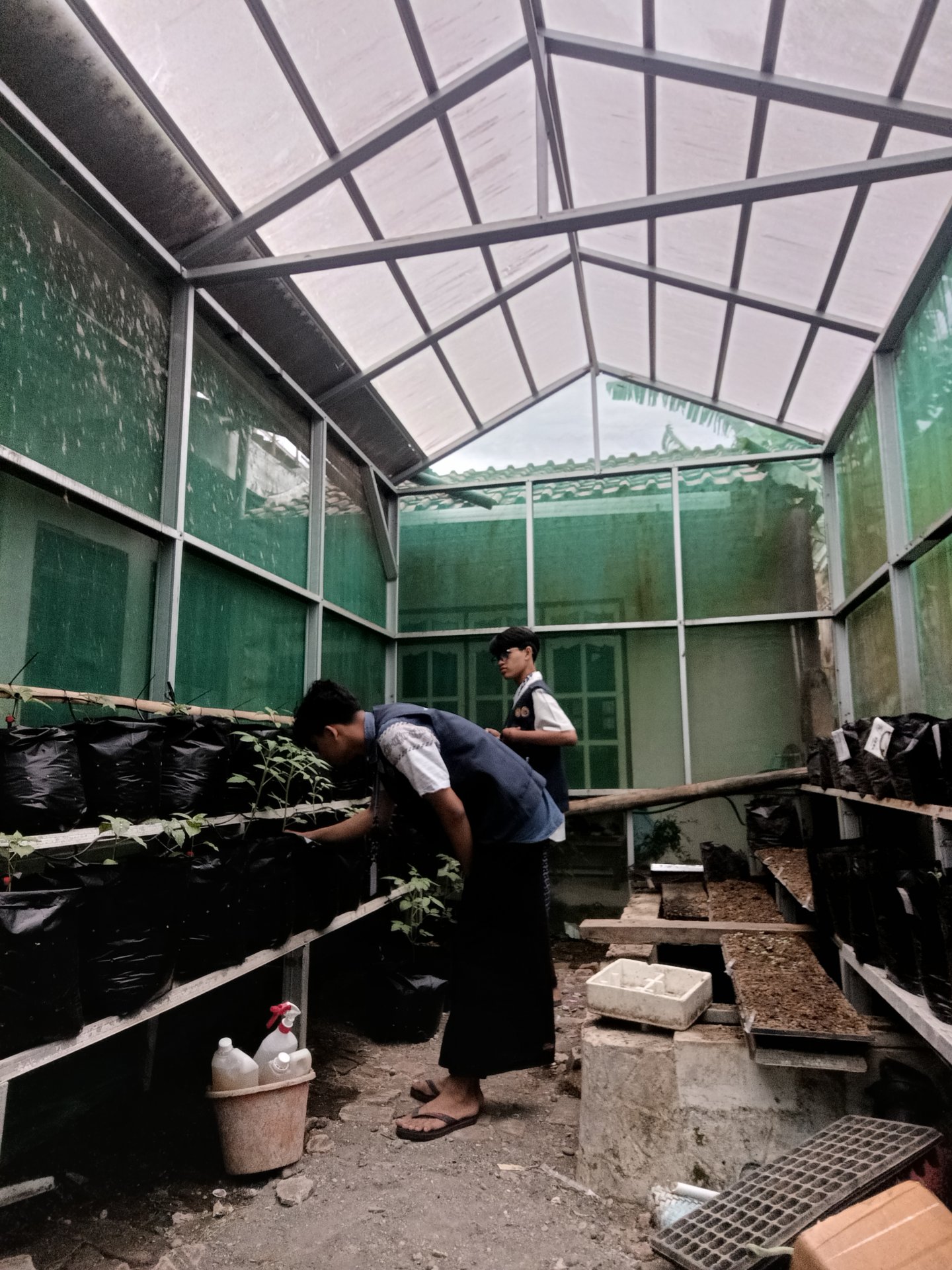 Kegiatan Hari Ke 22 | Demplot Pertanian