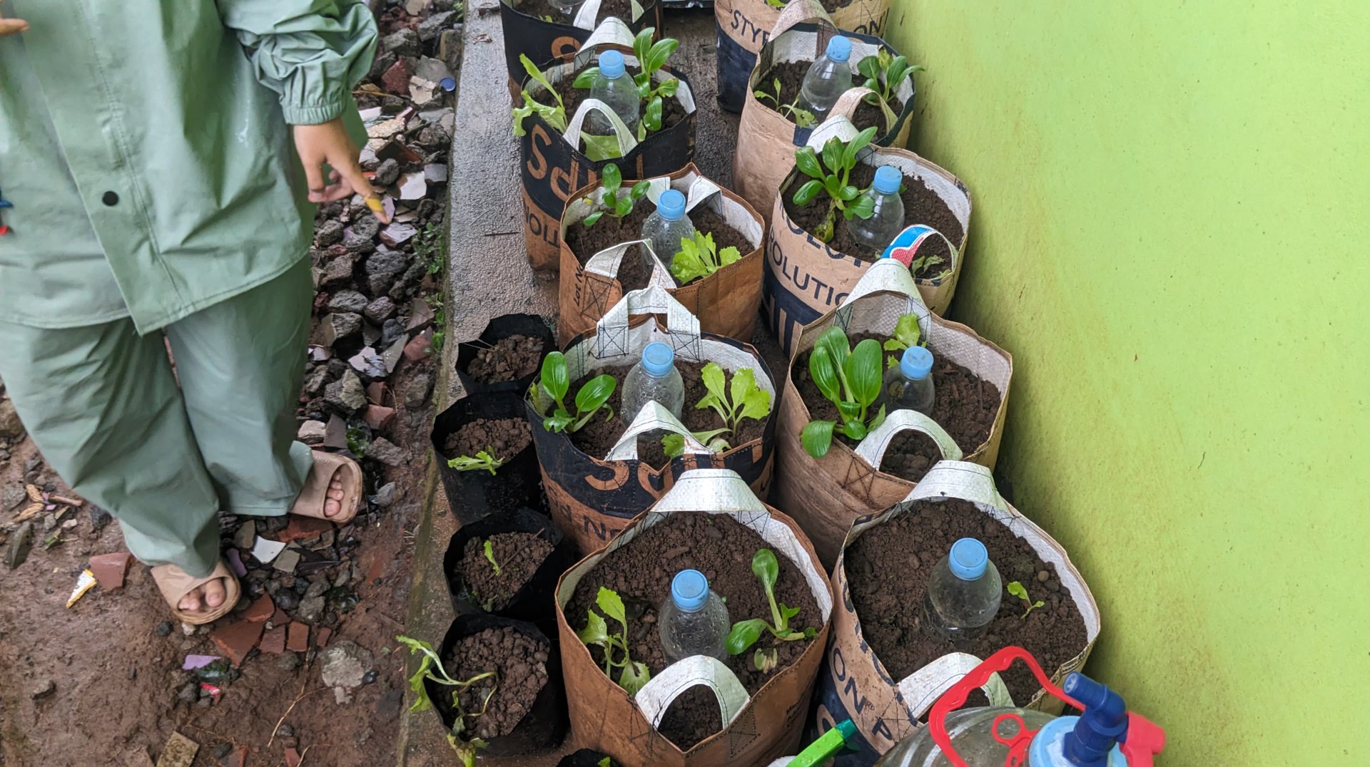 Evaluasi program kerja, koordinasi, serta monitoring lingkungan