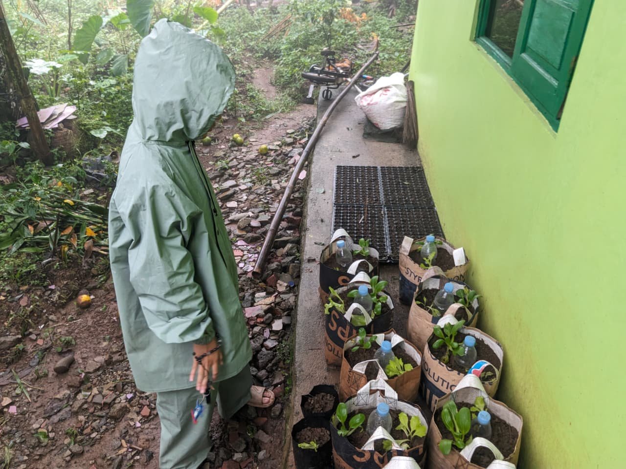 Koordinasi Program Kerja dan Monitoring Tanaman