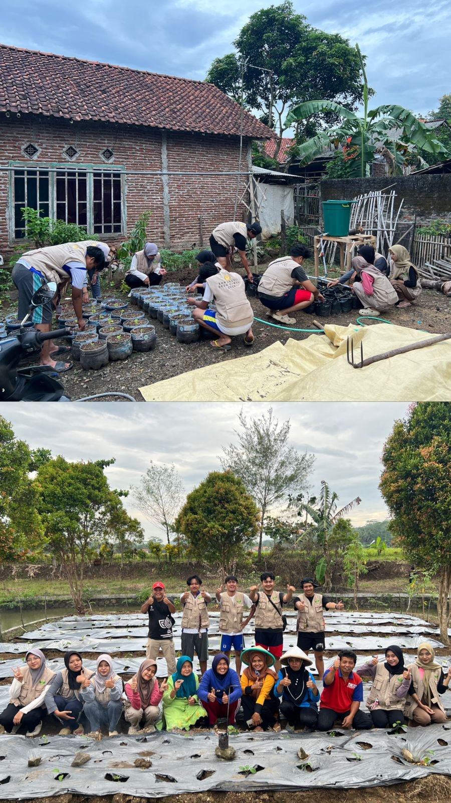 Day 22 “Pemasangan Plastik Mulsa di Lahan KWT dan Monitoring Irigasi Tetes”