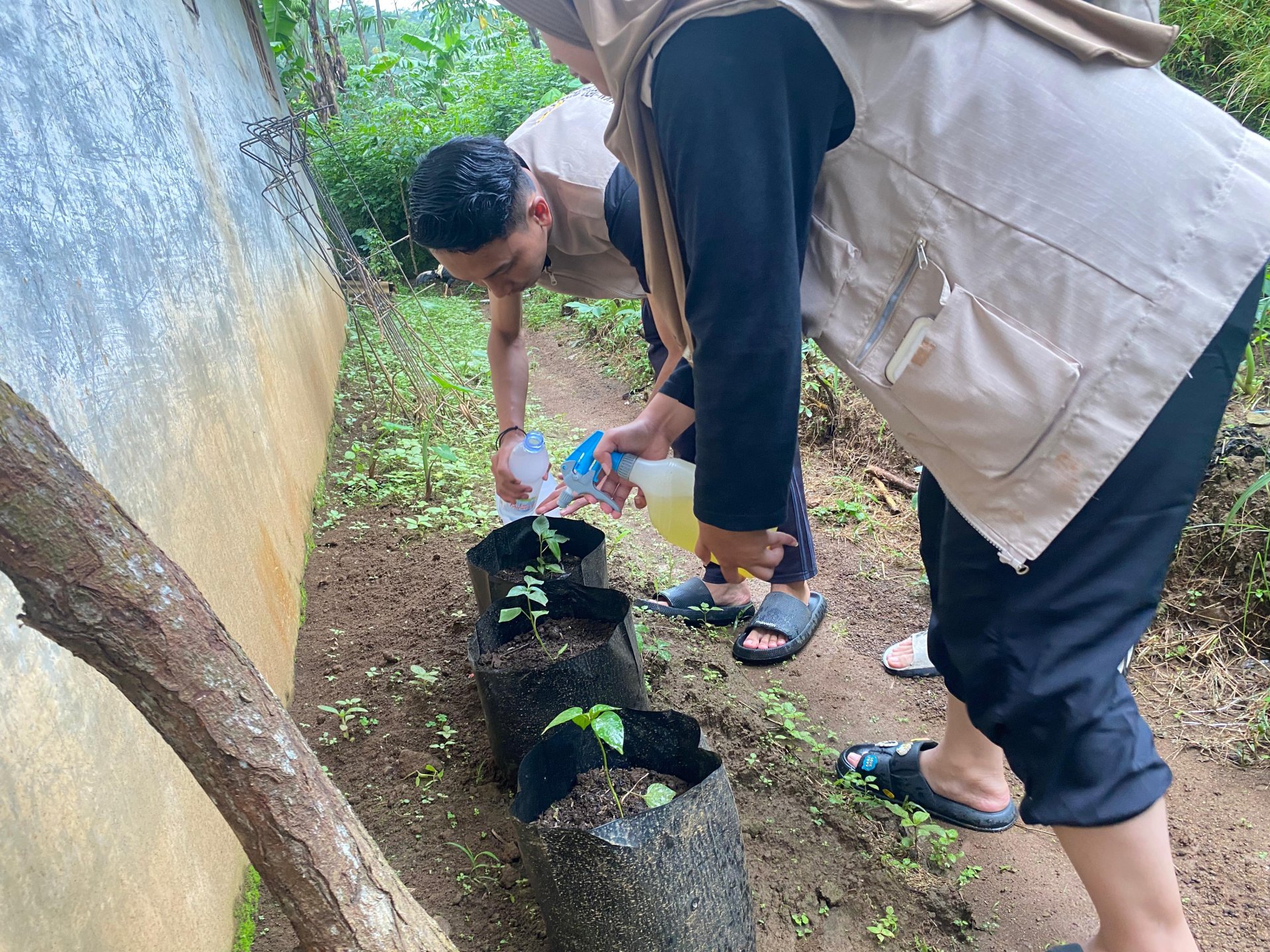 Pemantauan Demplot Tanaman Cabai, Pengambilan Video untuk Video Profile Desa Mendelem, dan Pemetaan Titik Mata Air