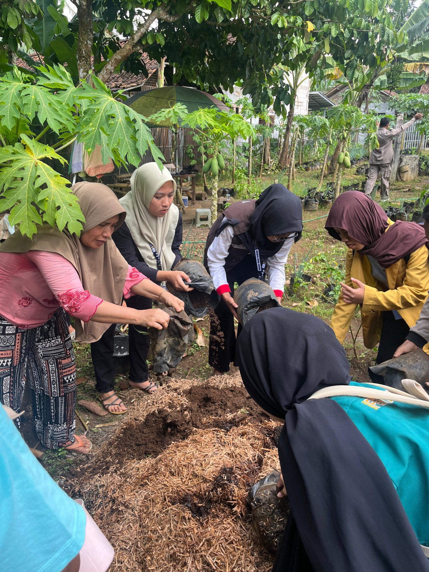 Pembuatan pupuk organik dan media tanam, 27 Januari 2026