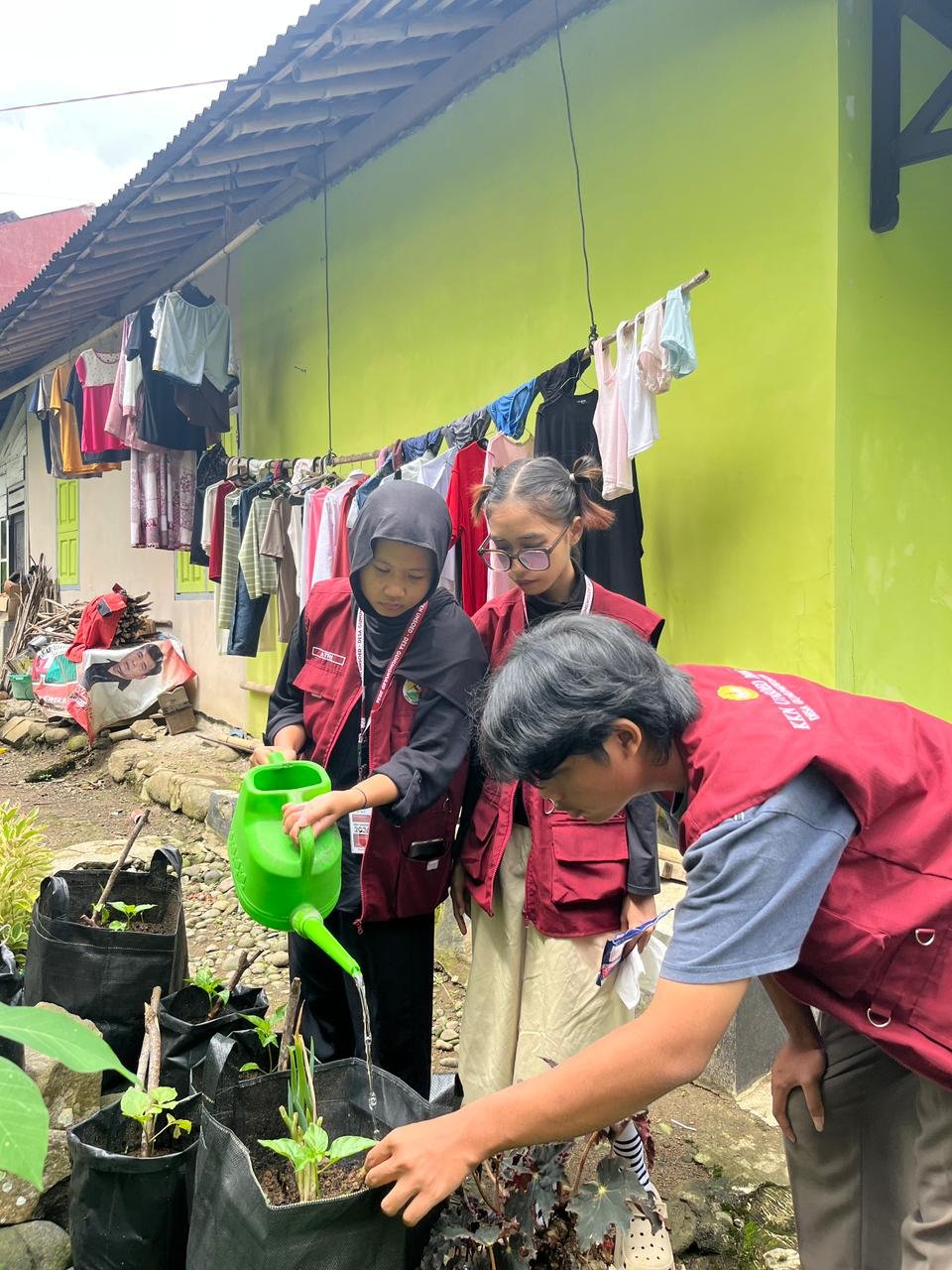 Perawatan dan monitoring tanaman