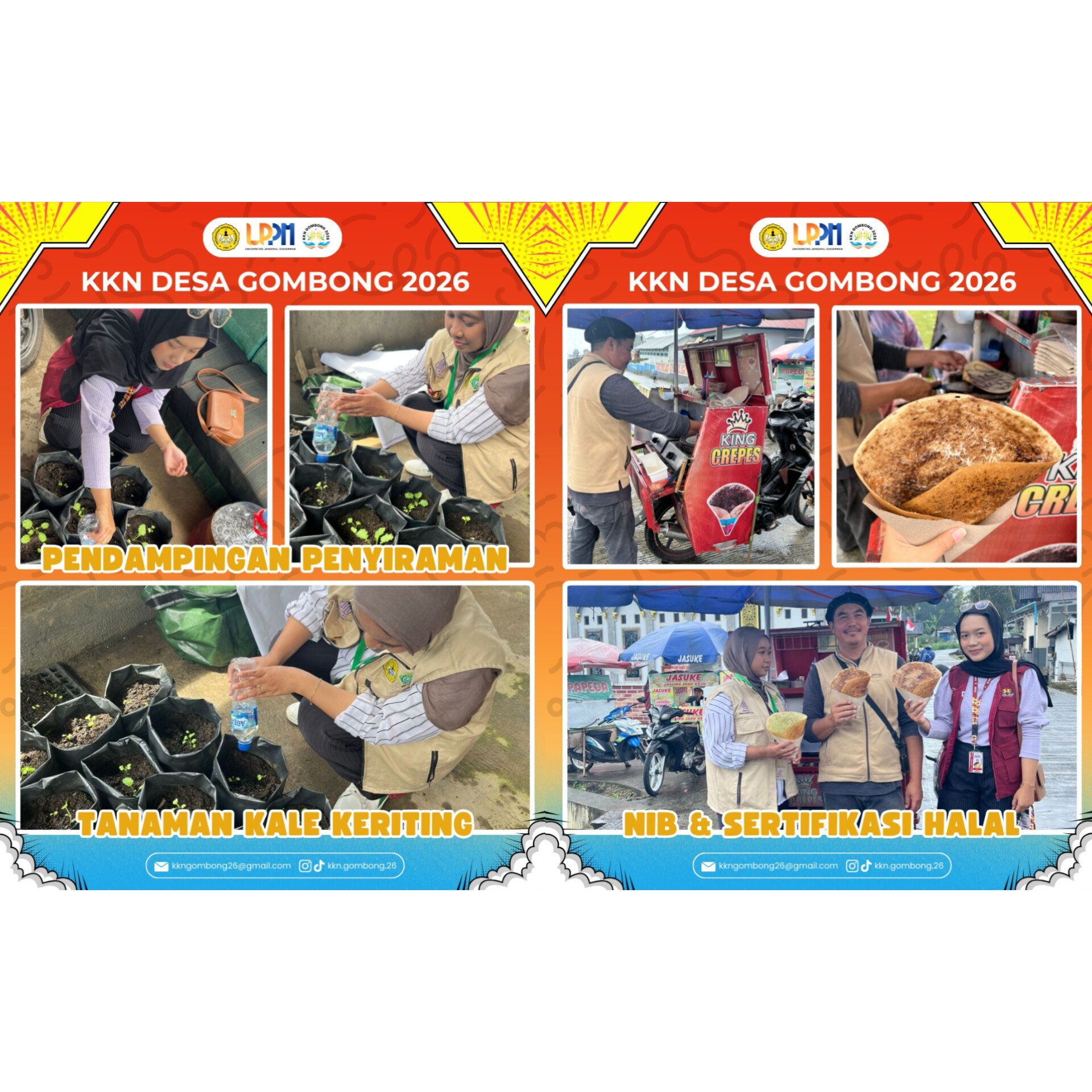 Pendamping Penyiraman Tanaman Kale Keriting & Dampingan Pembuatan NIB dan Sertifikasi Halal
