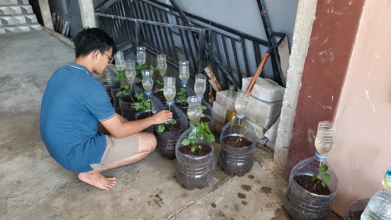 Monitoring intensifikasi pekarangan