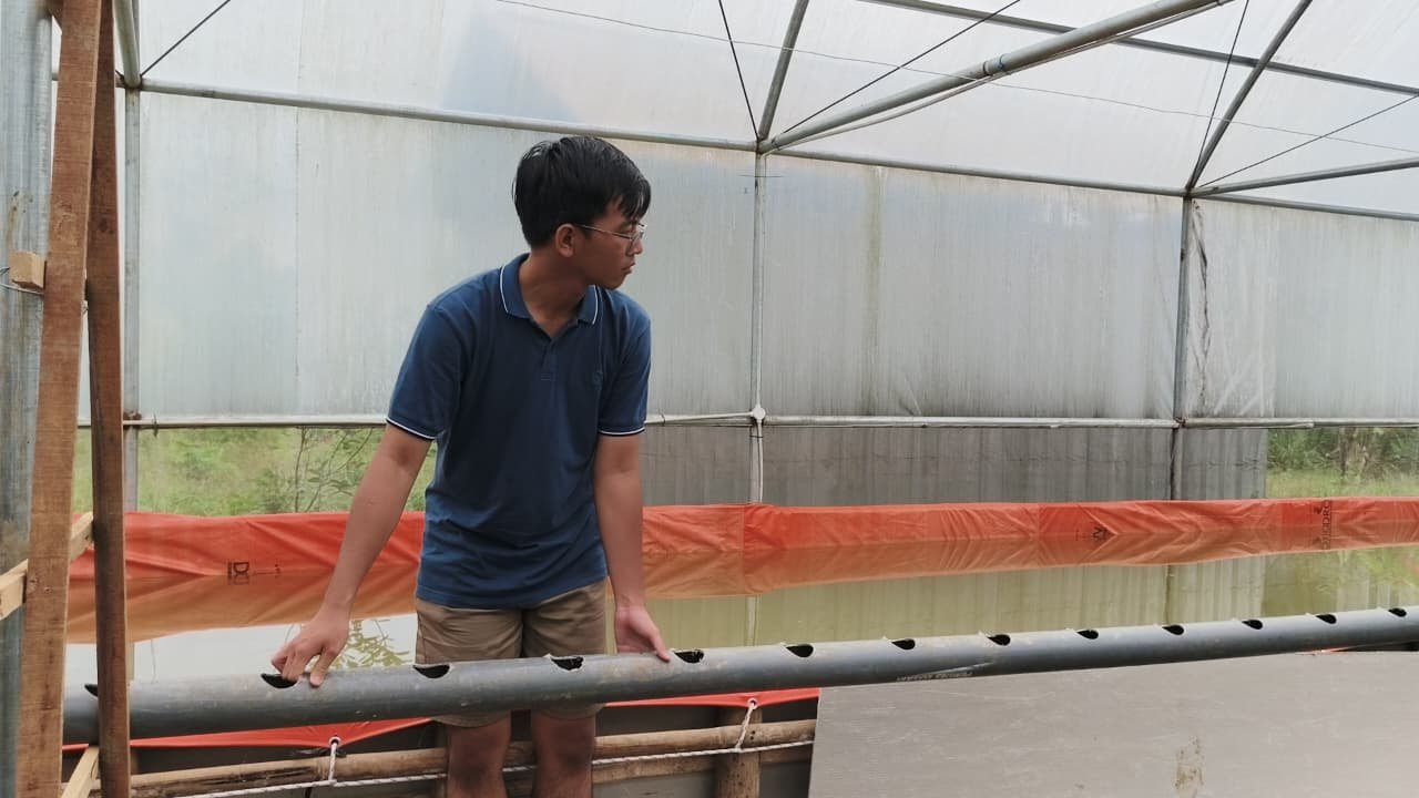 Penyusunan pipa paralon akuaponik