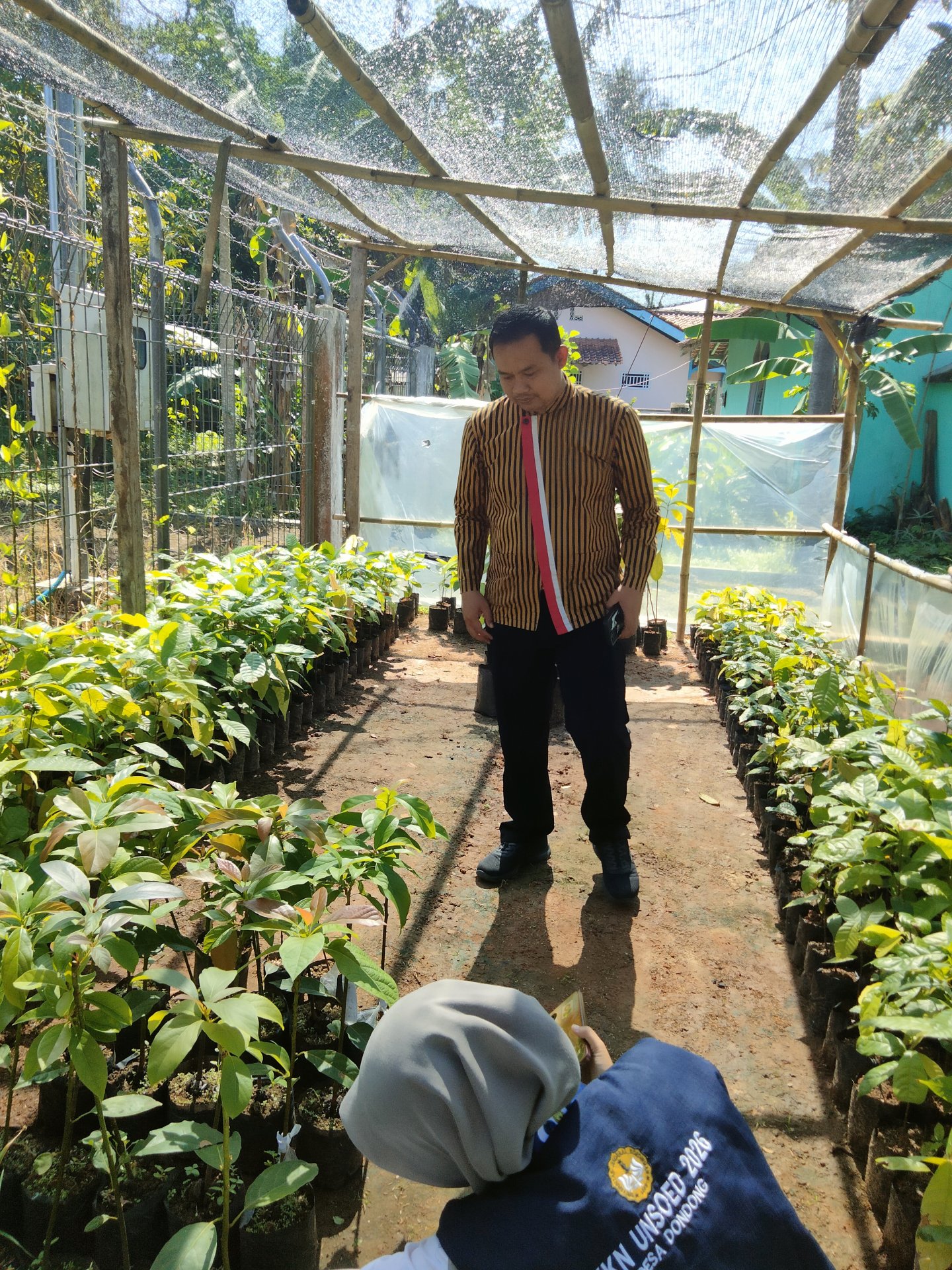 Kunjungan ke Kebun Kakao