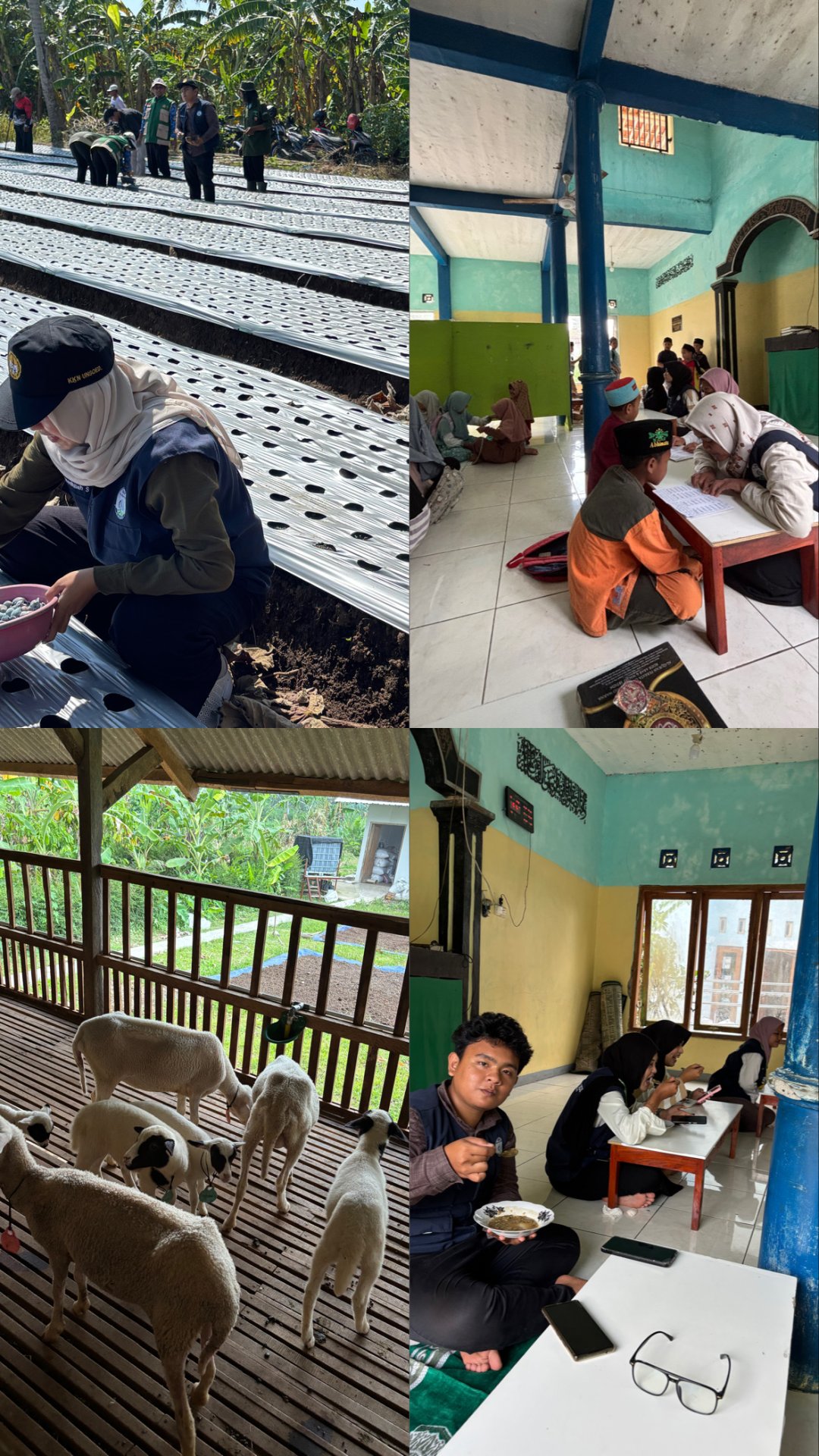 Penanaman bawang merah, TPQ, dan kunjungan ke ternak warga