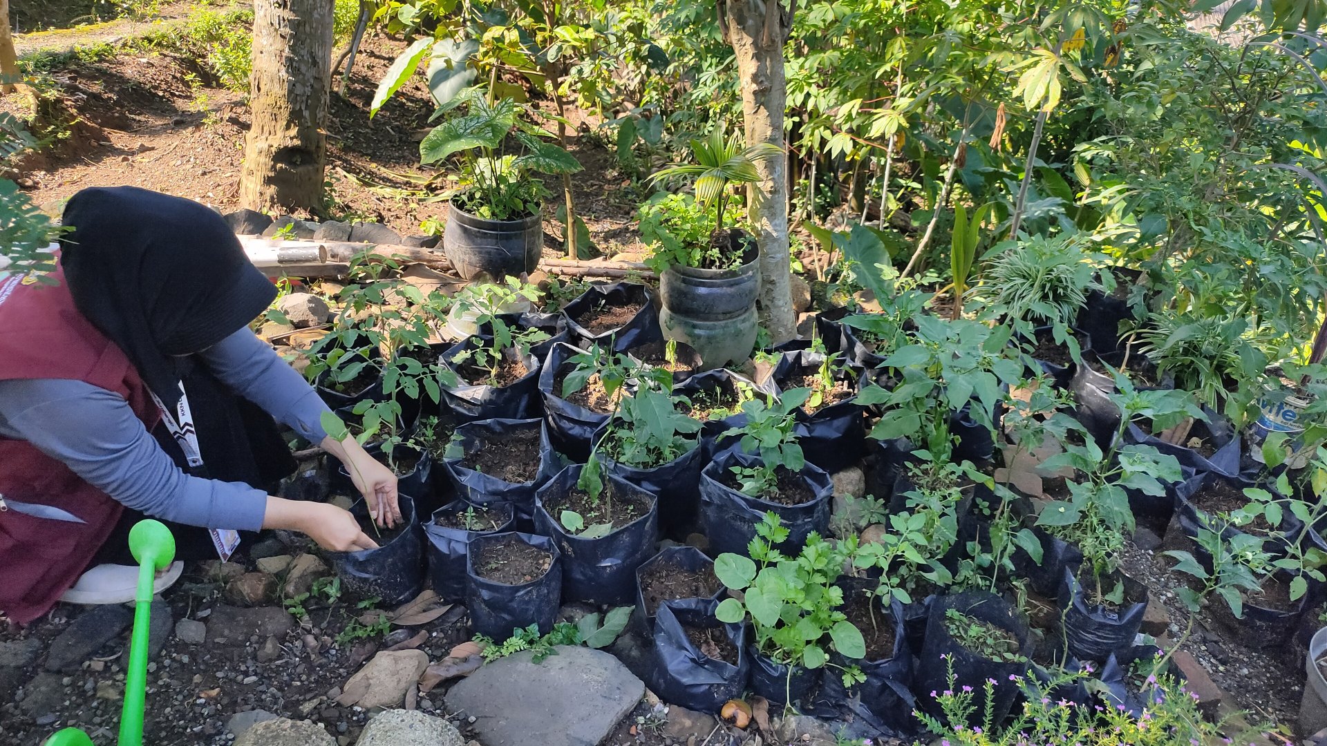 DAY-23 KKN SUMBEREJO 2026