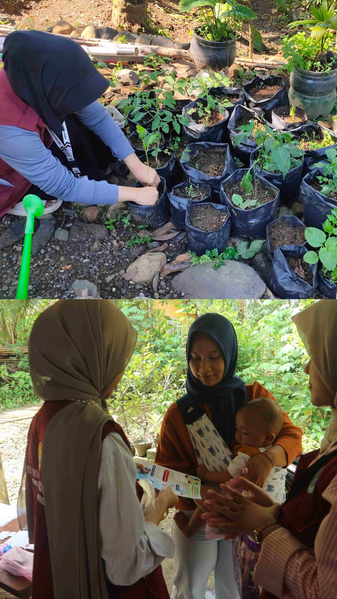 Penyulaman tanaman dan sosialisasi pencegahan stunting