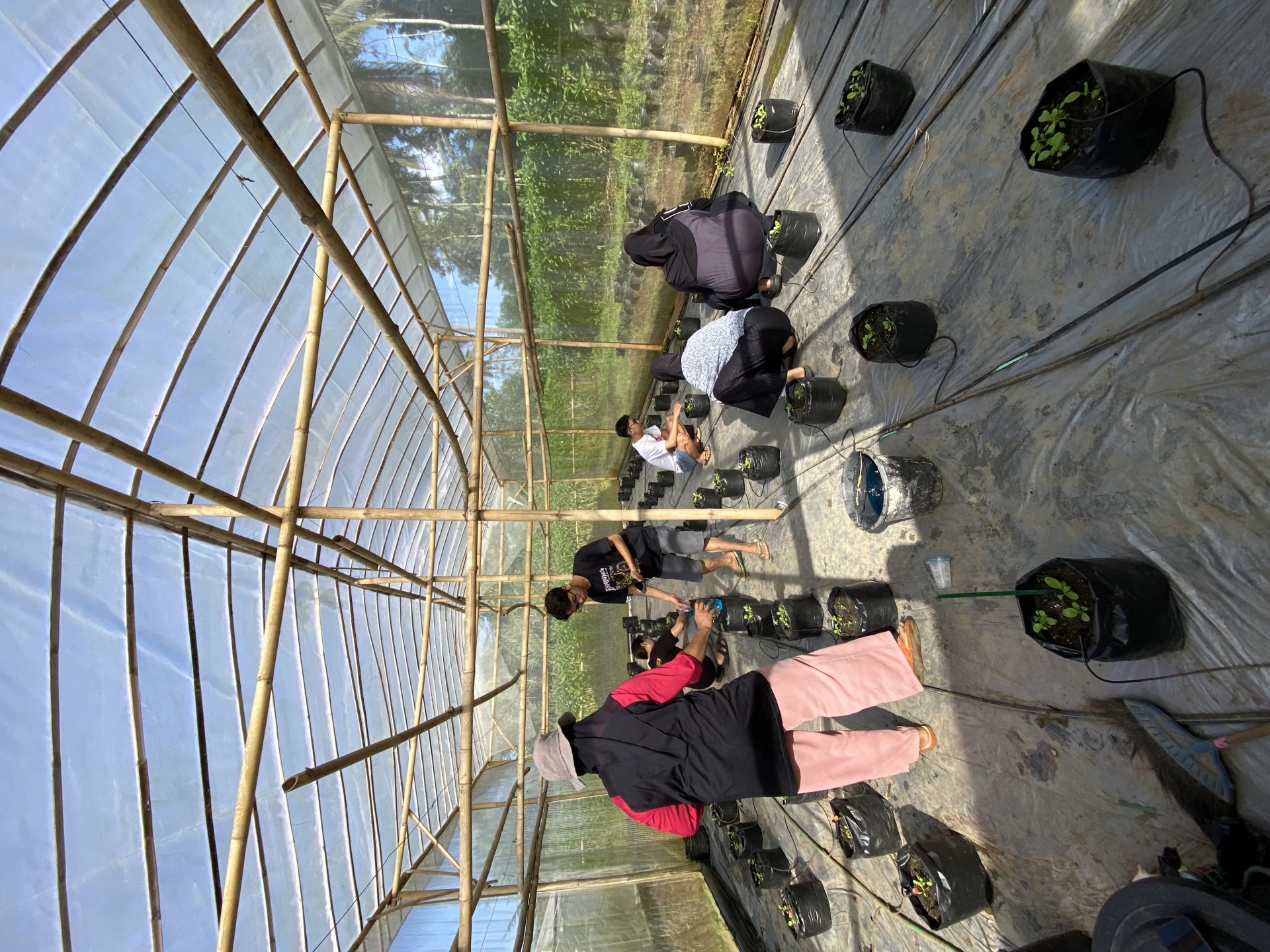 KEGIATAN KKN DESA PLANA HARI KE-23